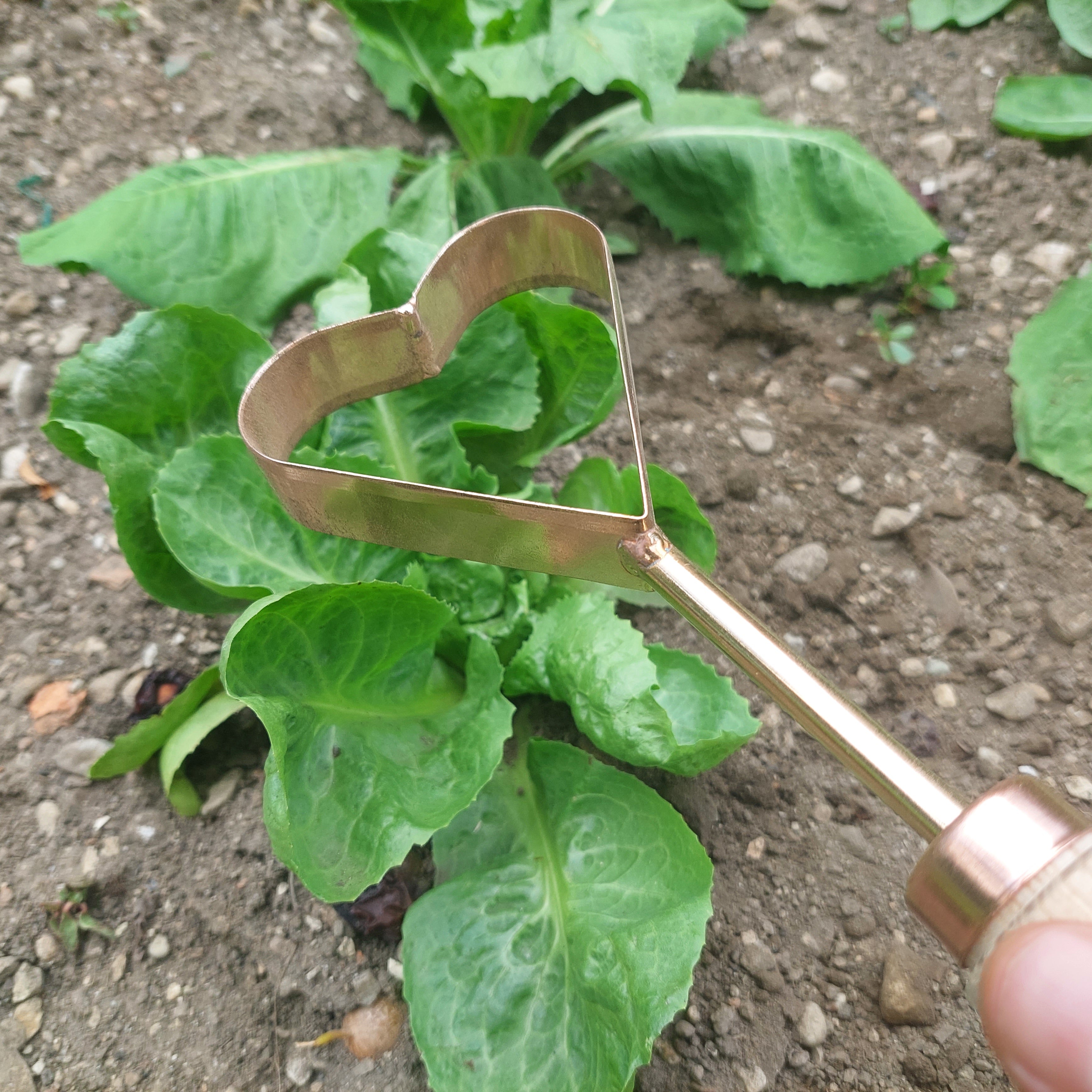 Copper Weeder Ljubica