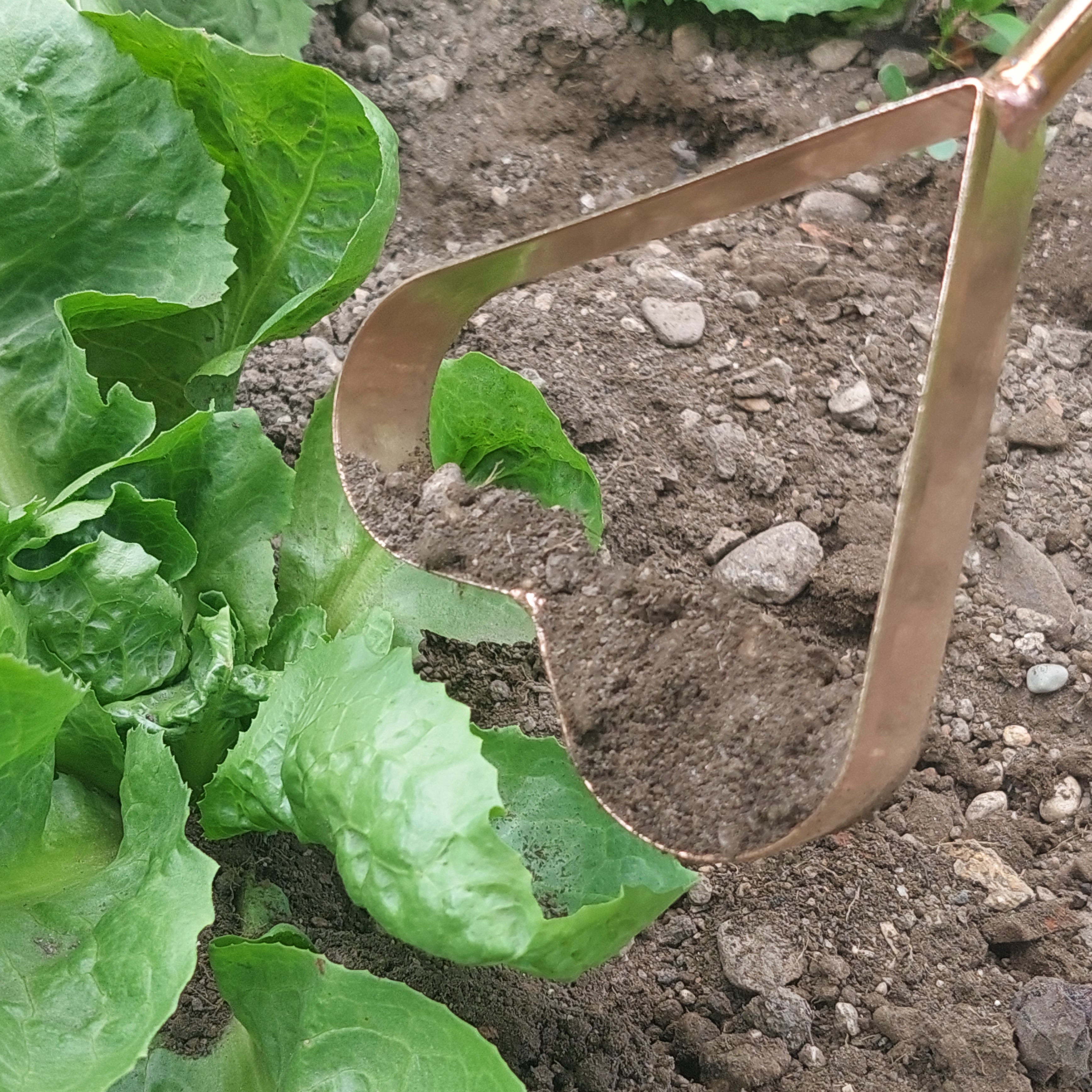 Copper Weeder Ljubica