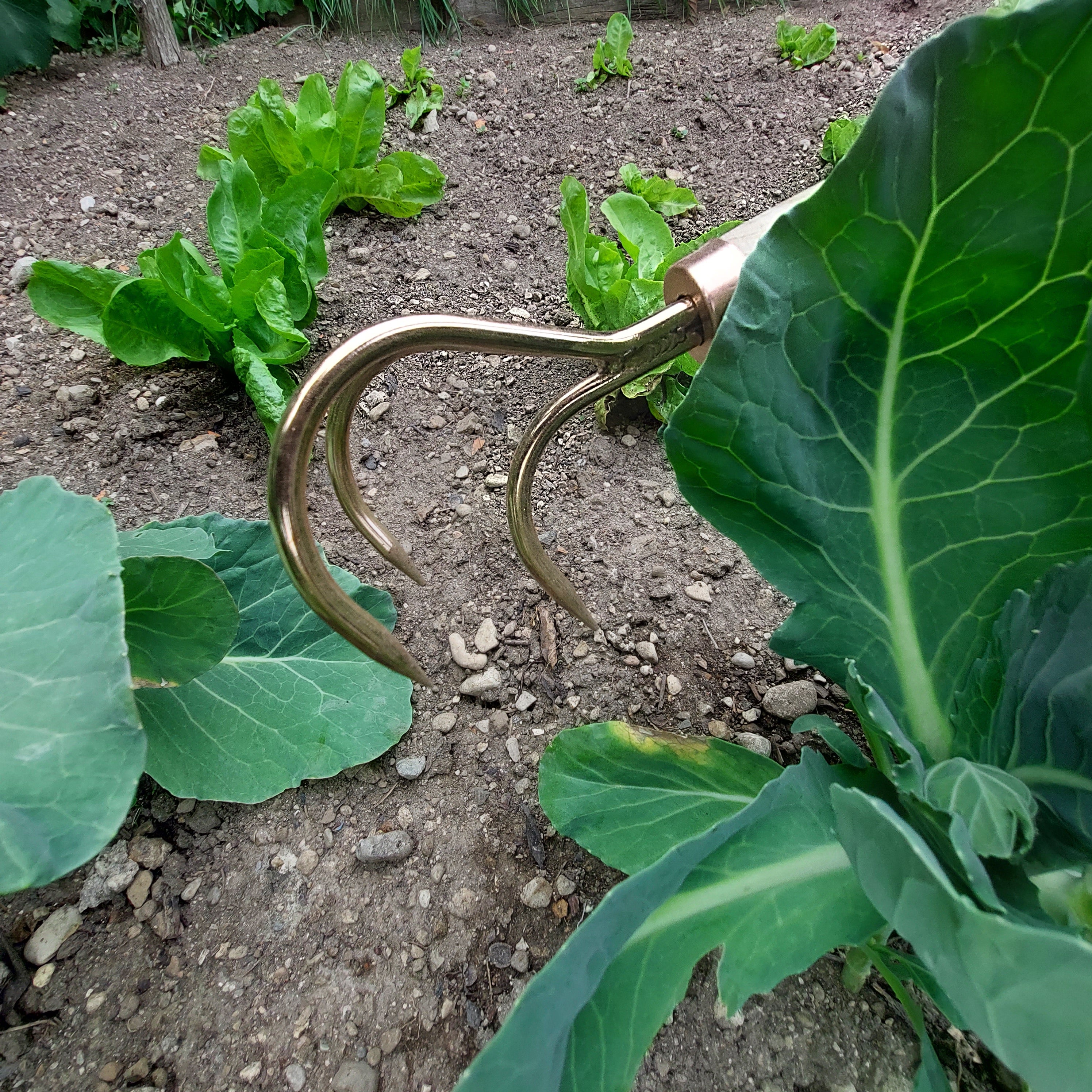 Copper Claw Cultivator Veles