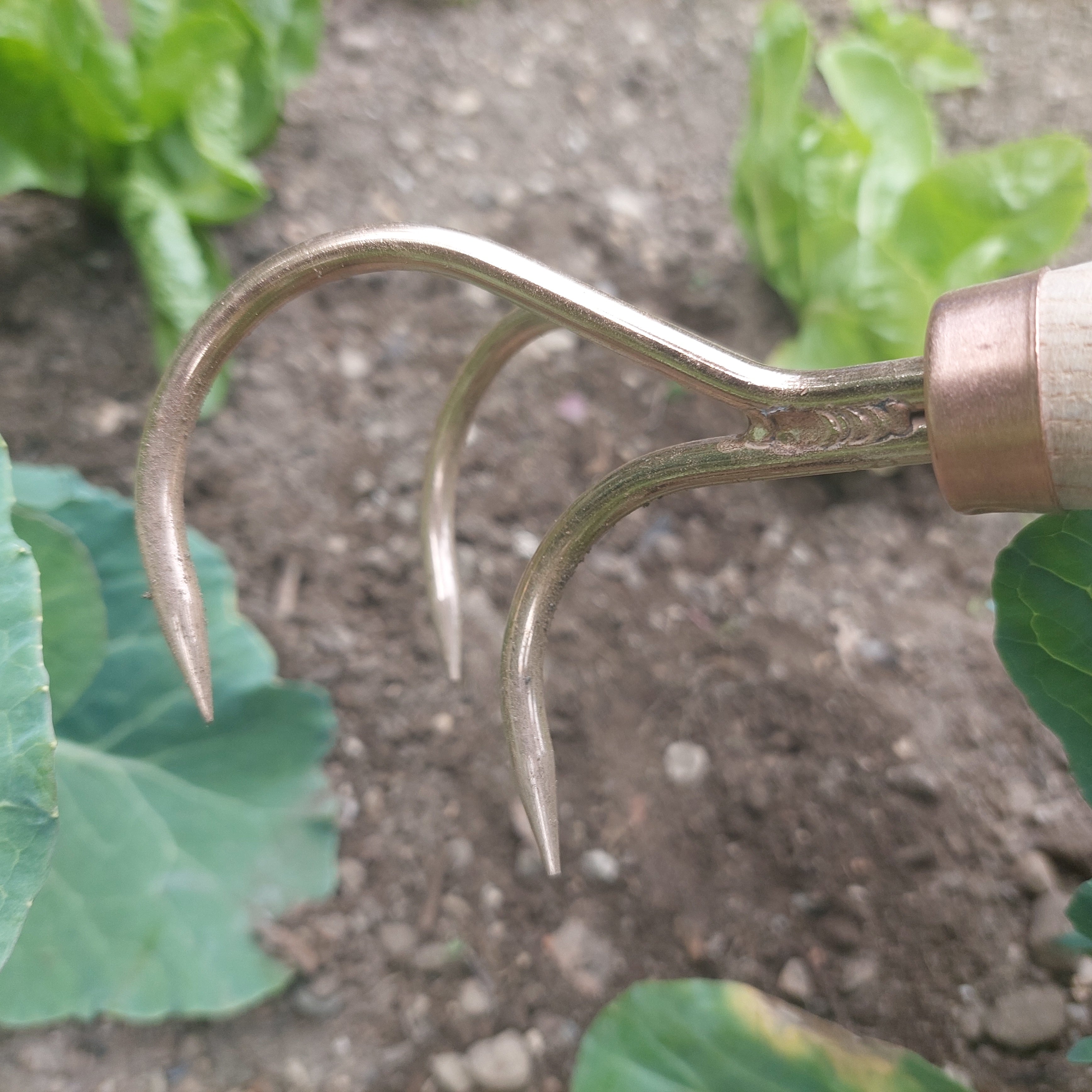 Copper Claw Cultivator Veles