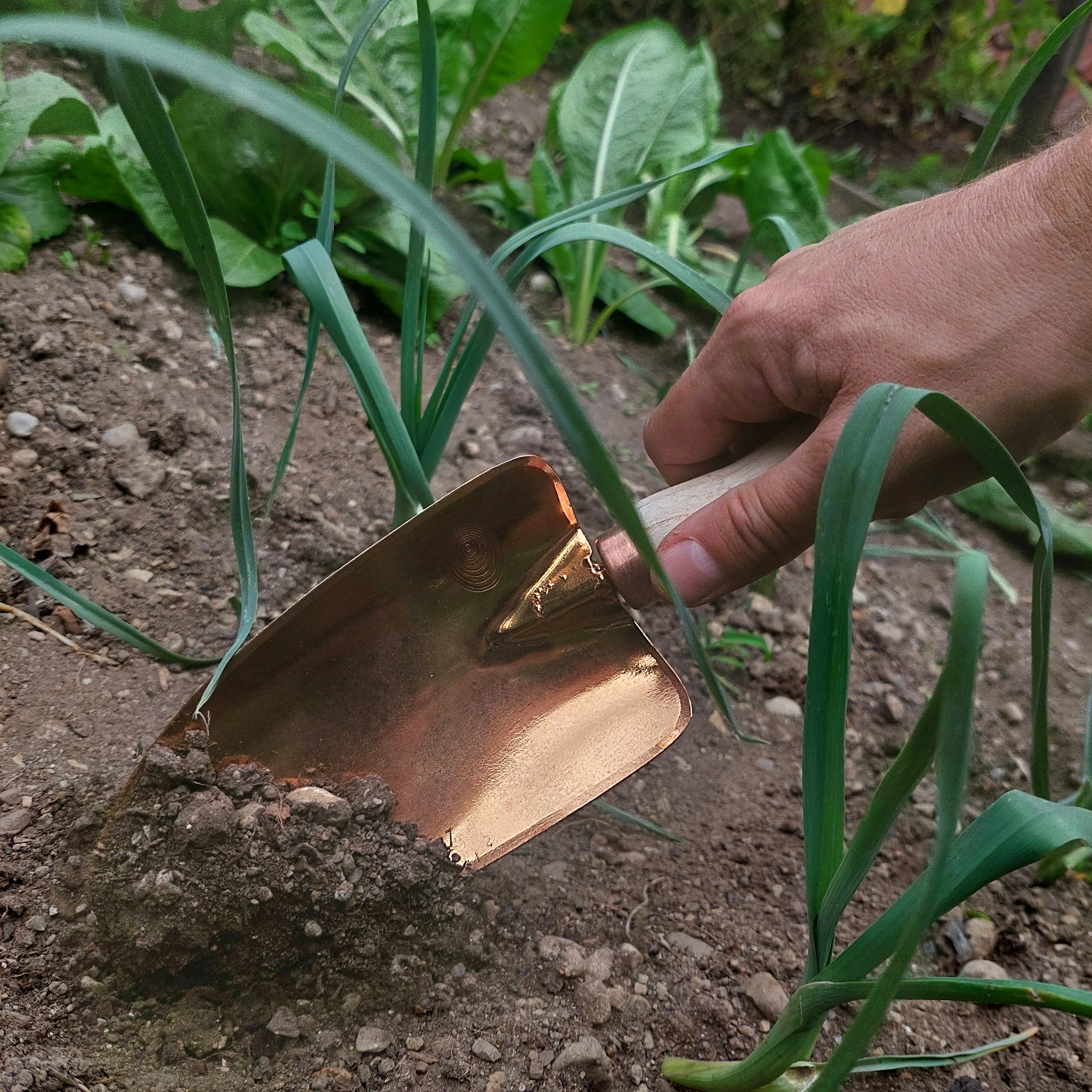 Copper Garden Trowel Nada
