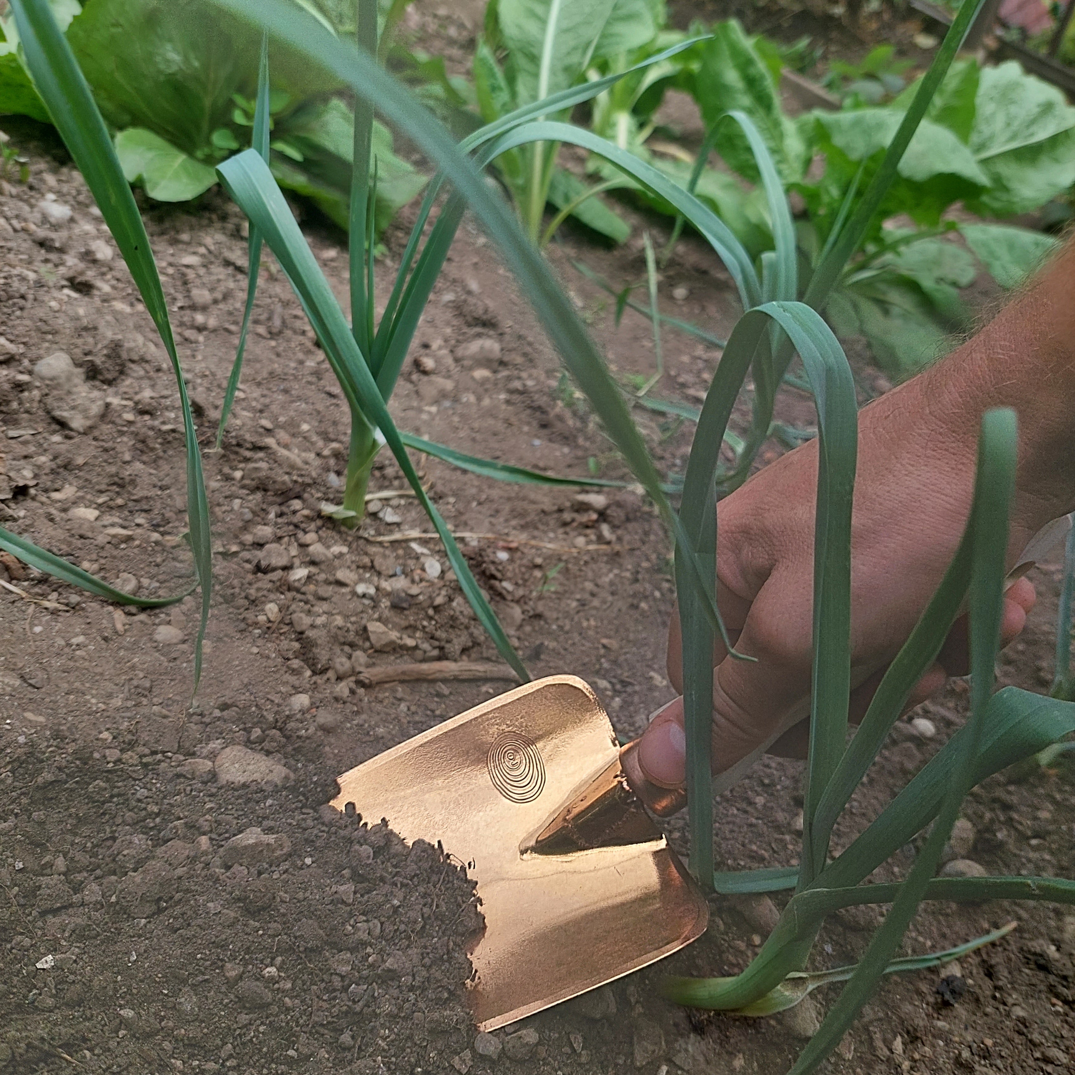 Copper Garden Trowel Nada
