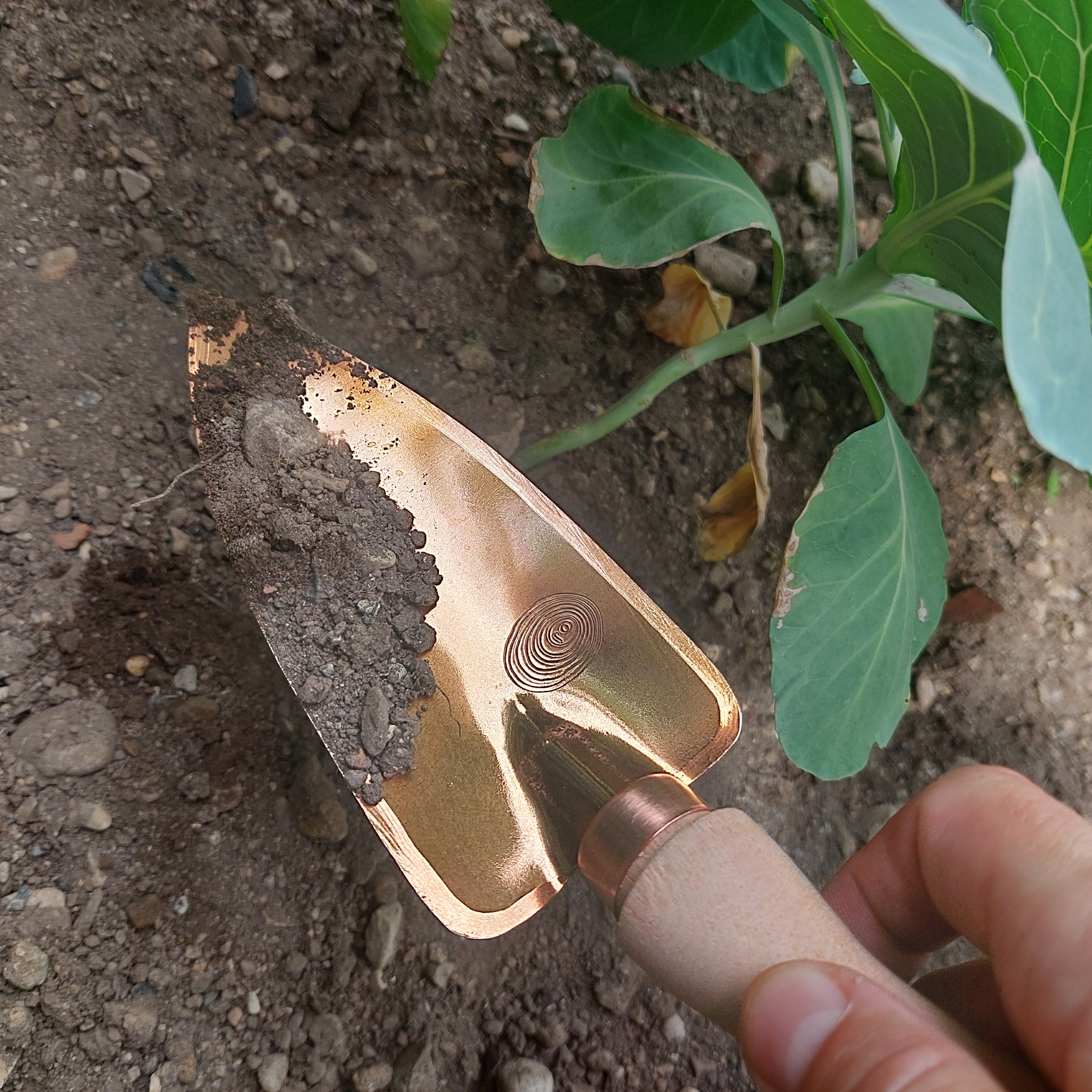 Copper Garden Trowel Deva
