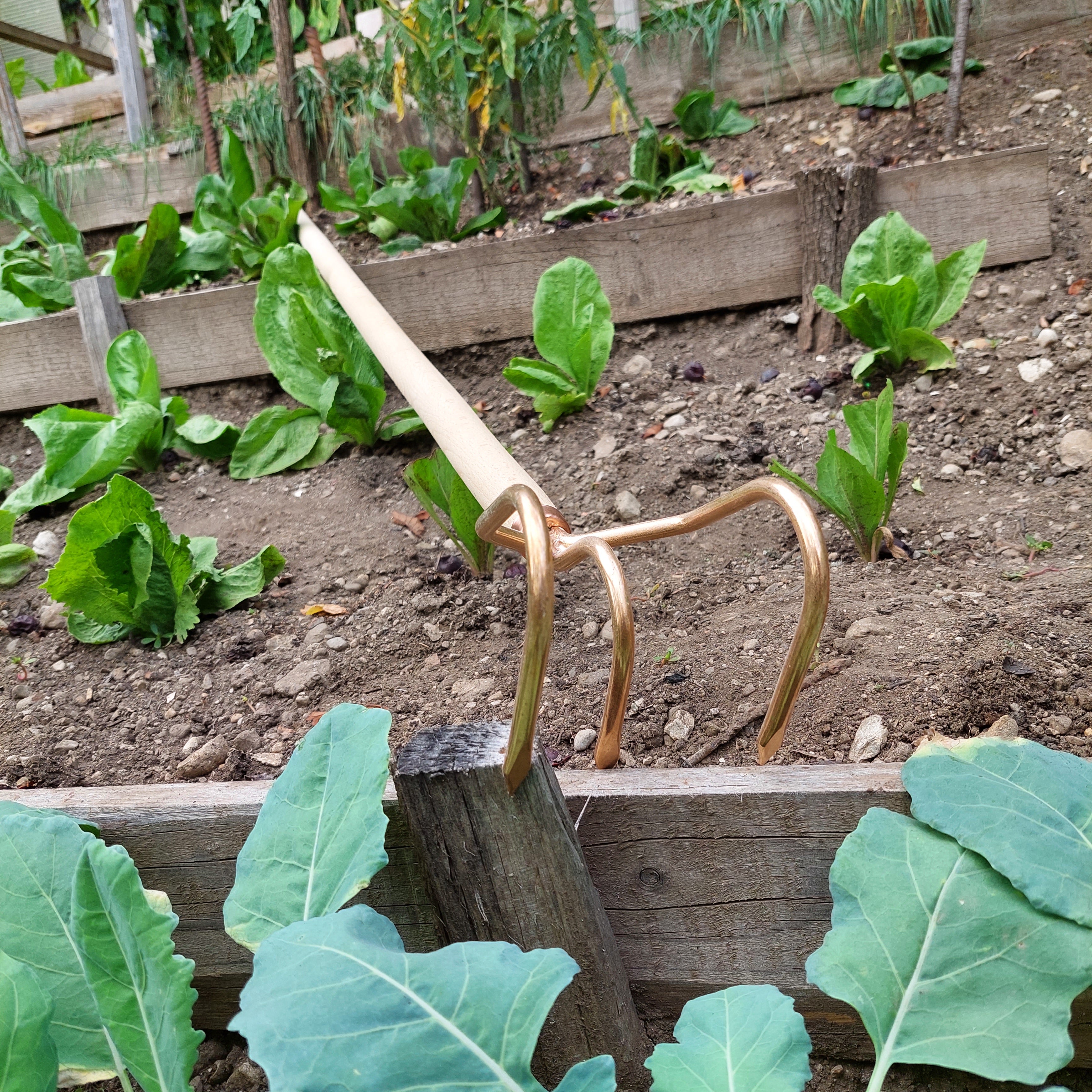 Copper Cultivator Claw Perun