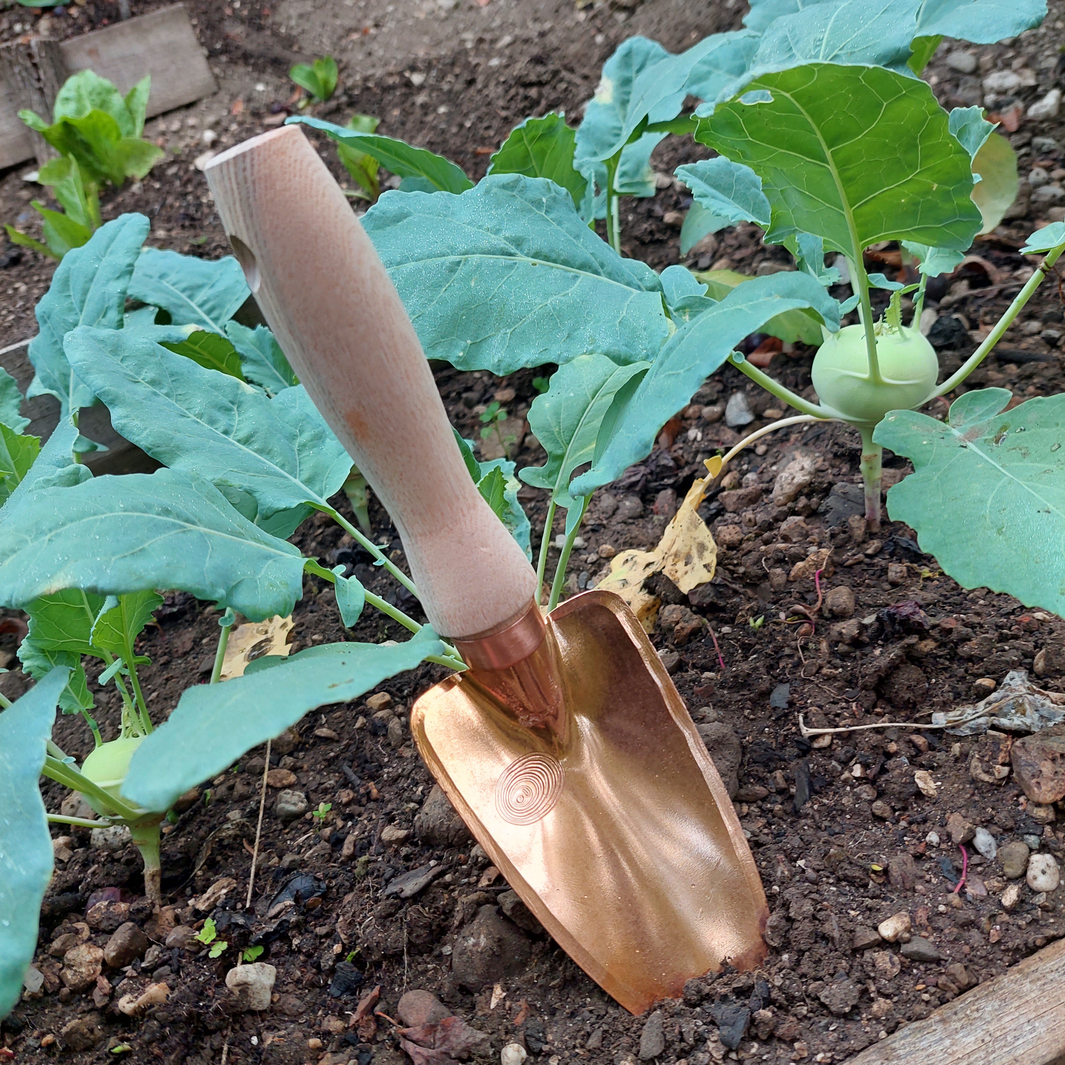 Copper Garden Trowel Deva