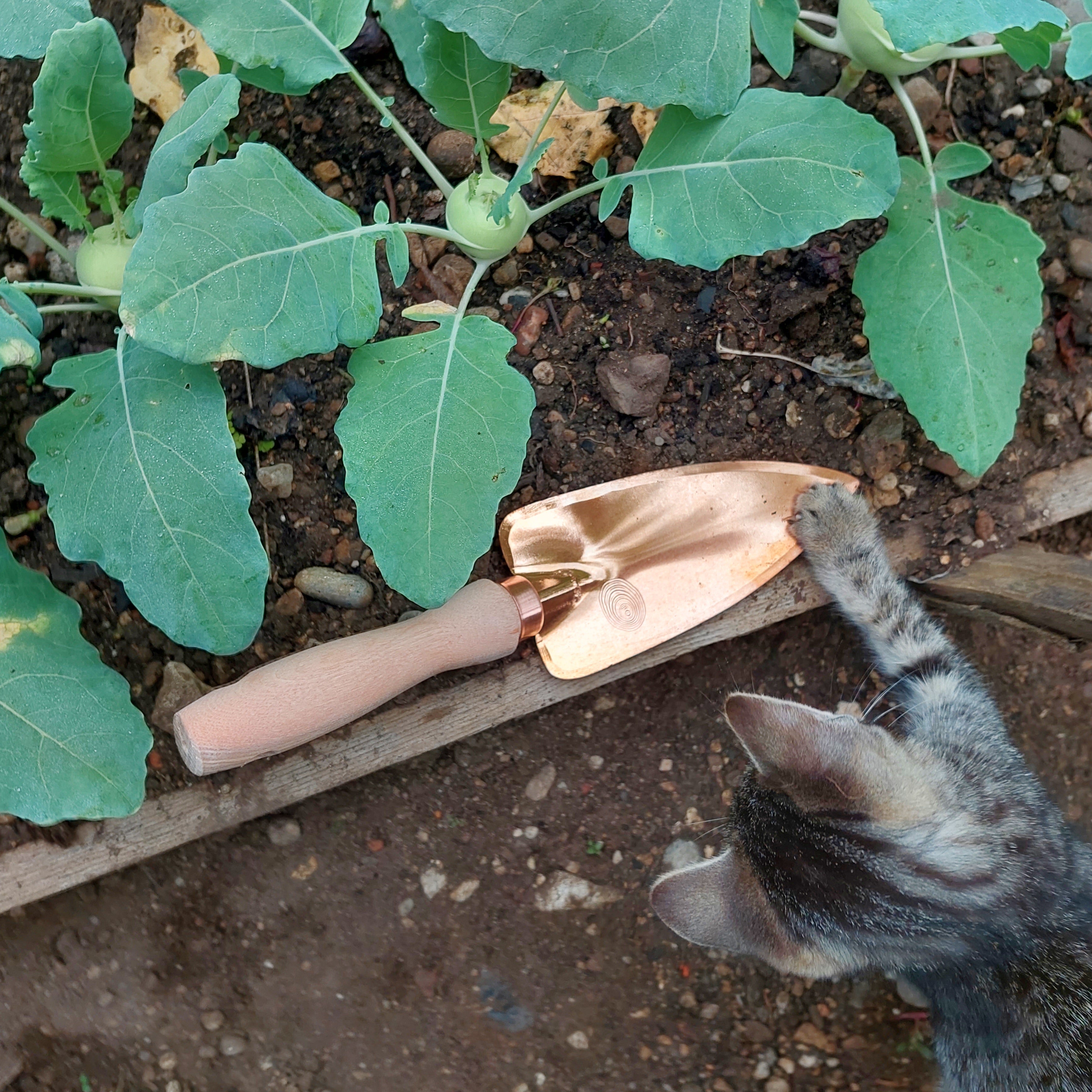 Copper Garden Trowel Deva