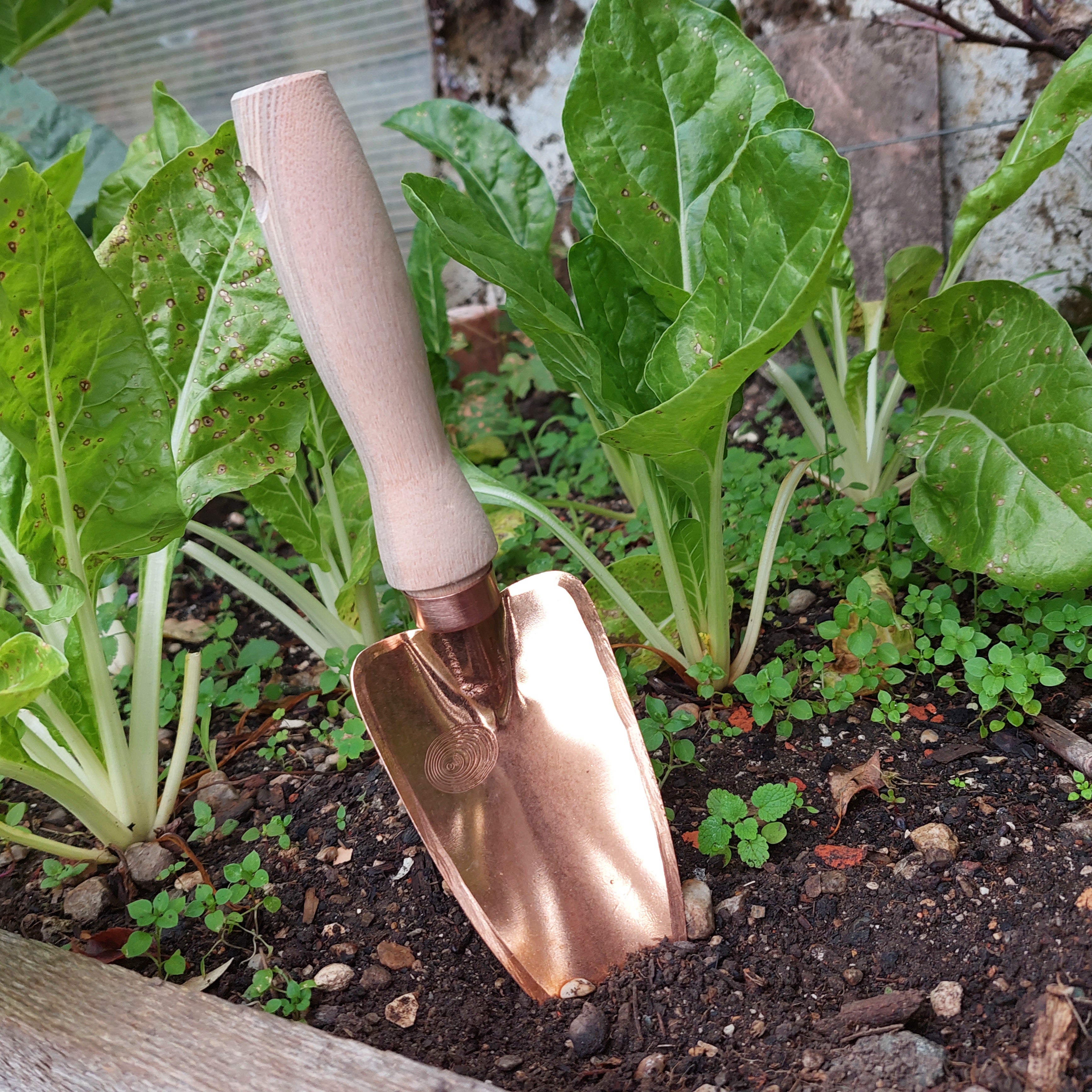Copper Garden Trowel Deva