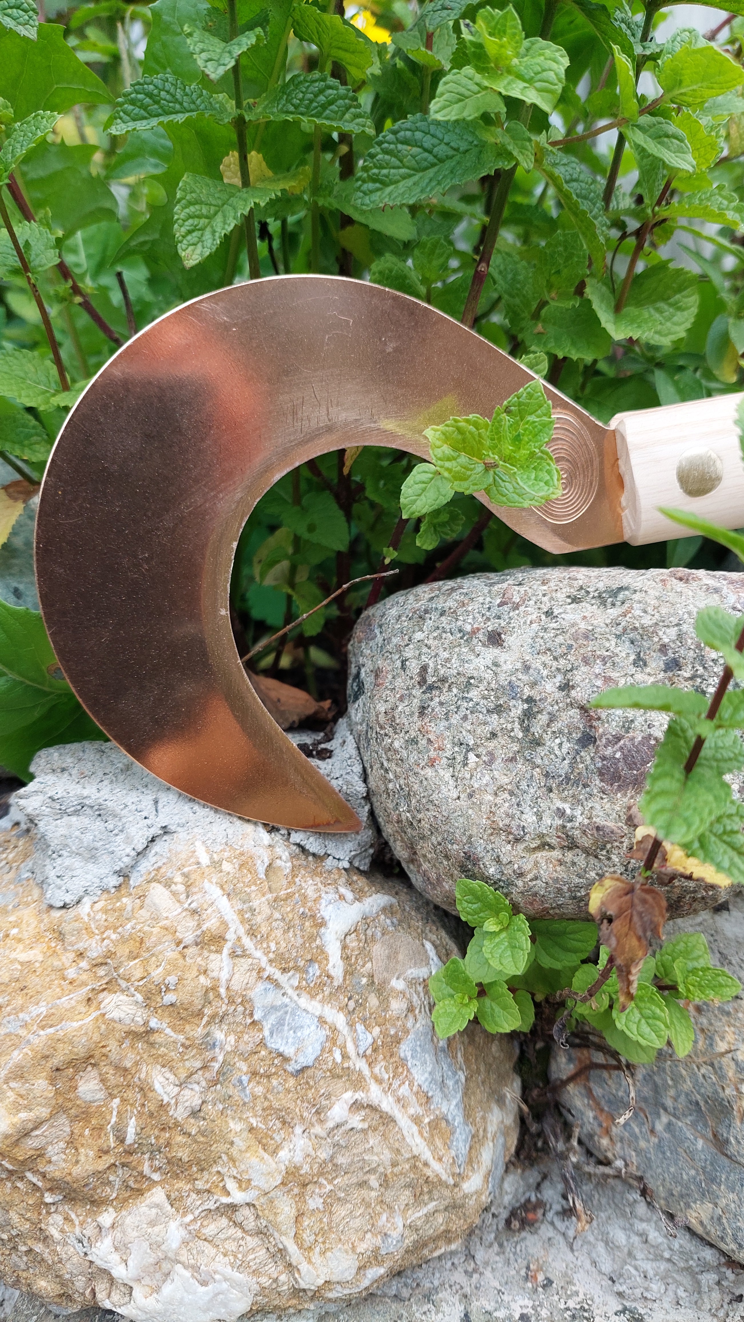 Copper Herb Sickle Miroslav