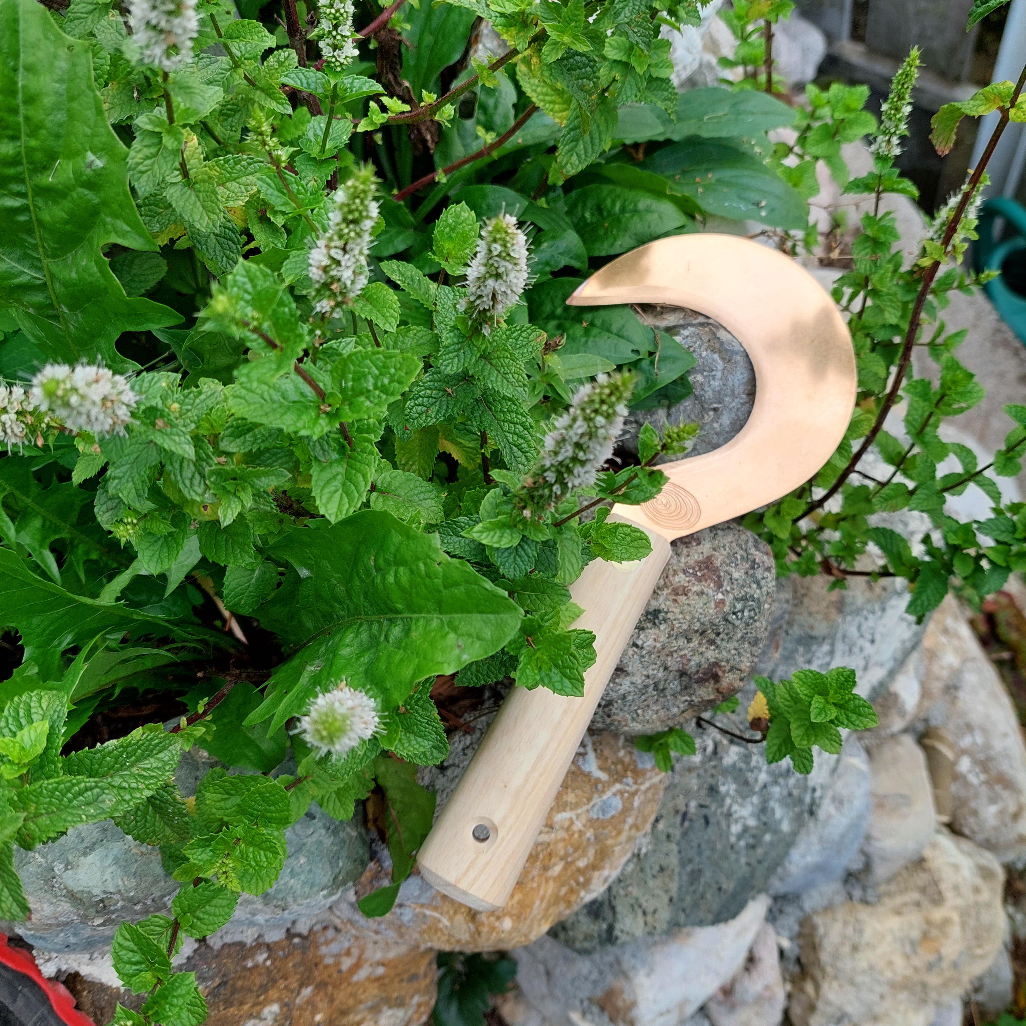 Copper Herb Sickle Miroslav