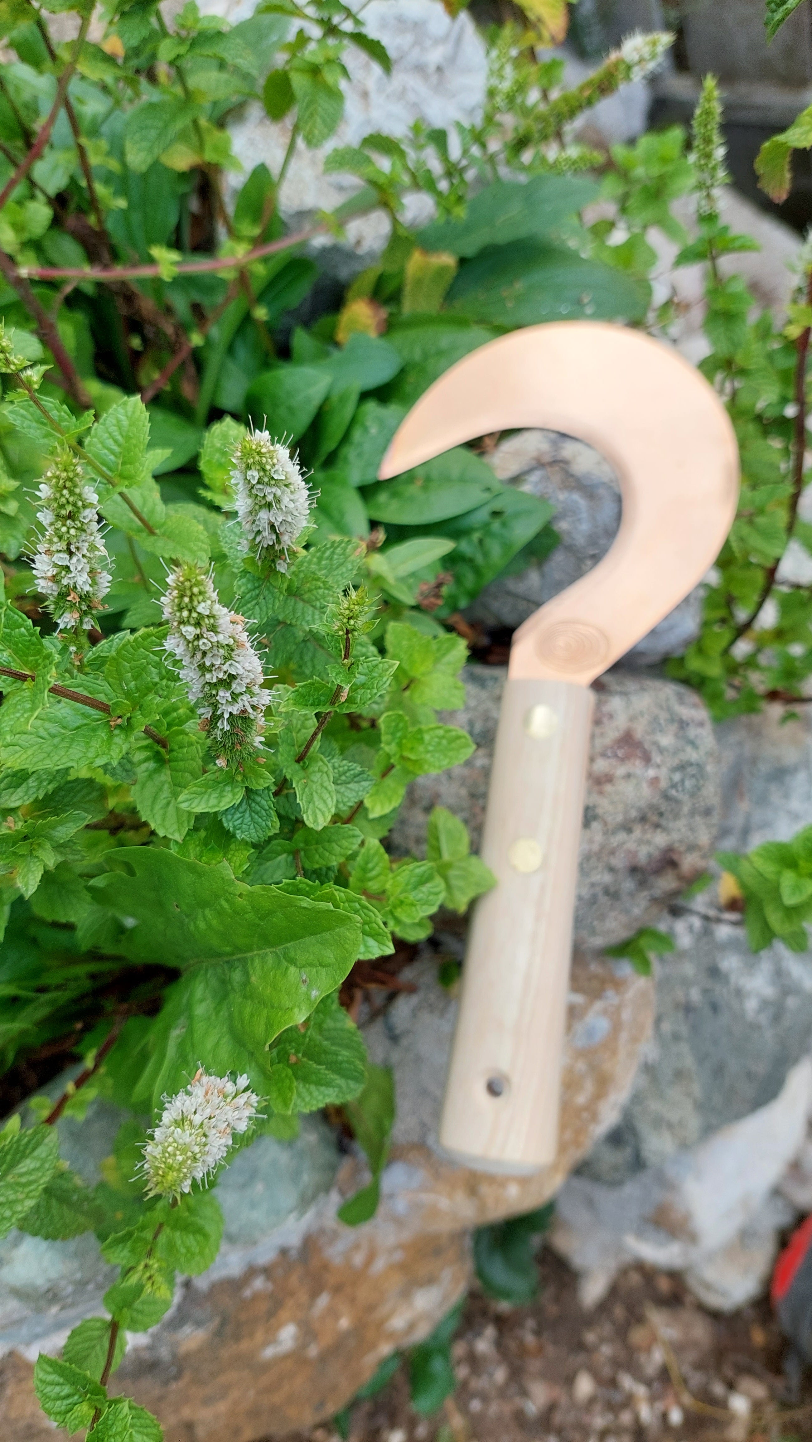 Copper Herb Sickle Miroslav