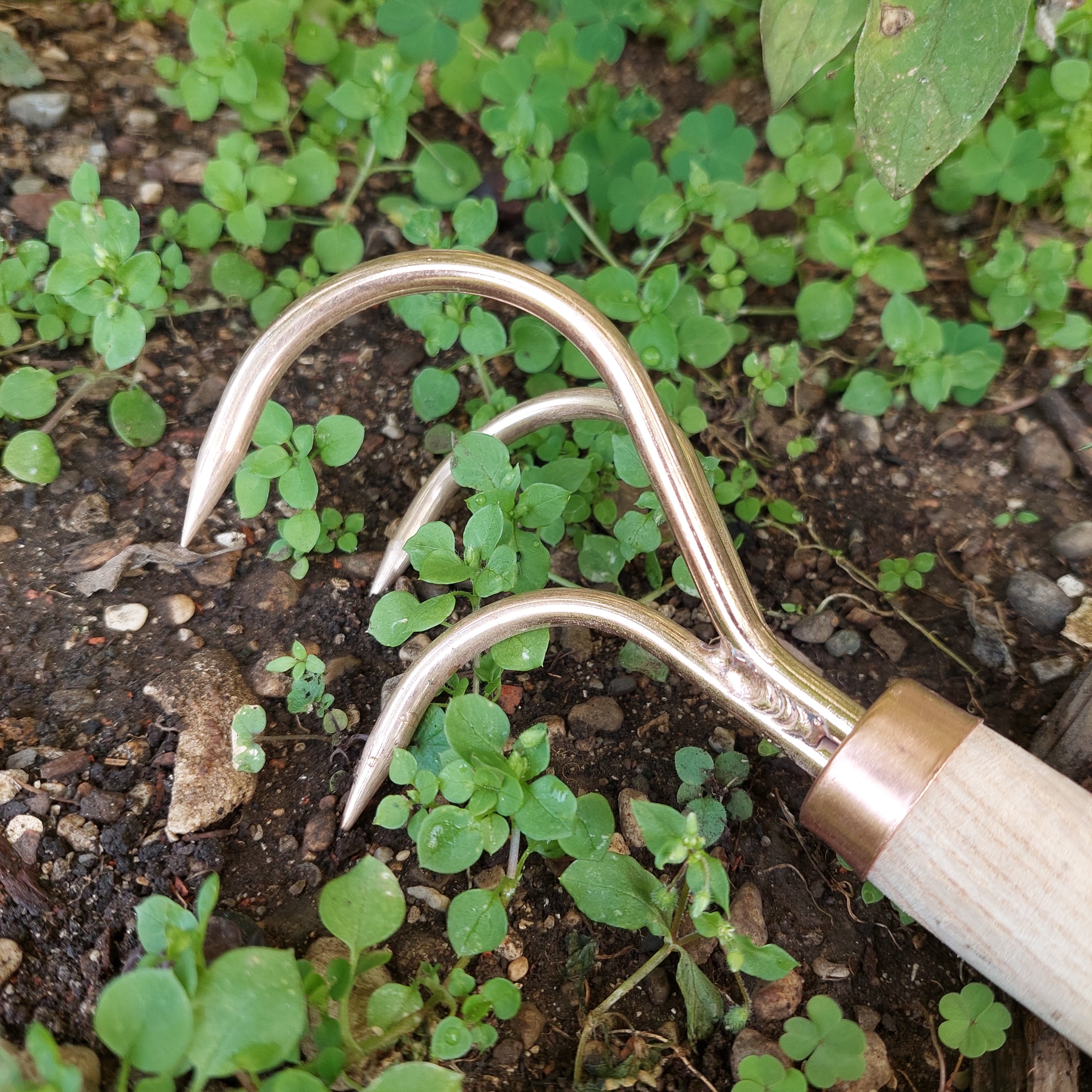 Copper Claw Cultivator Veles