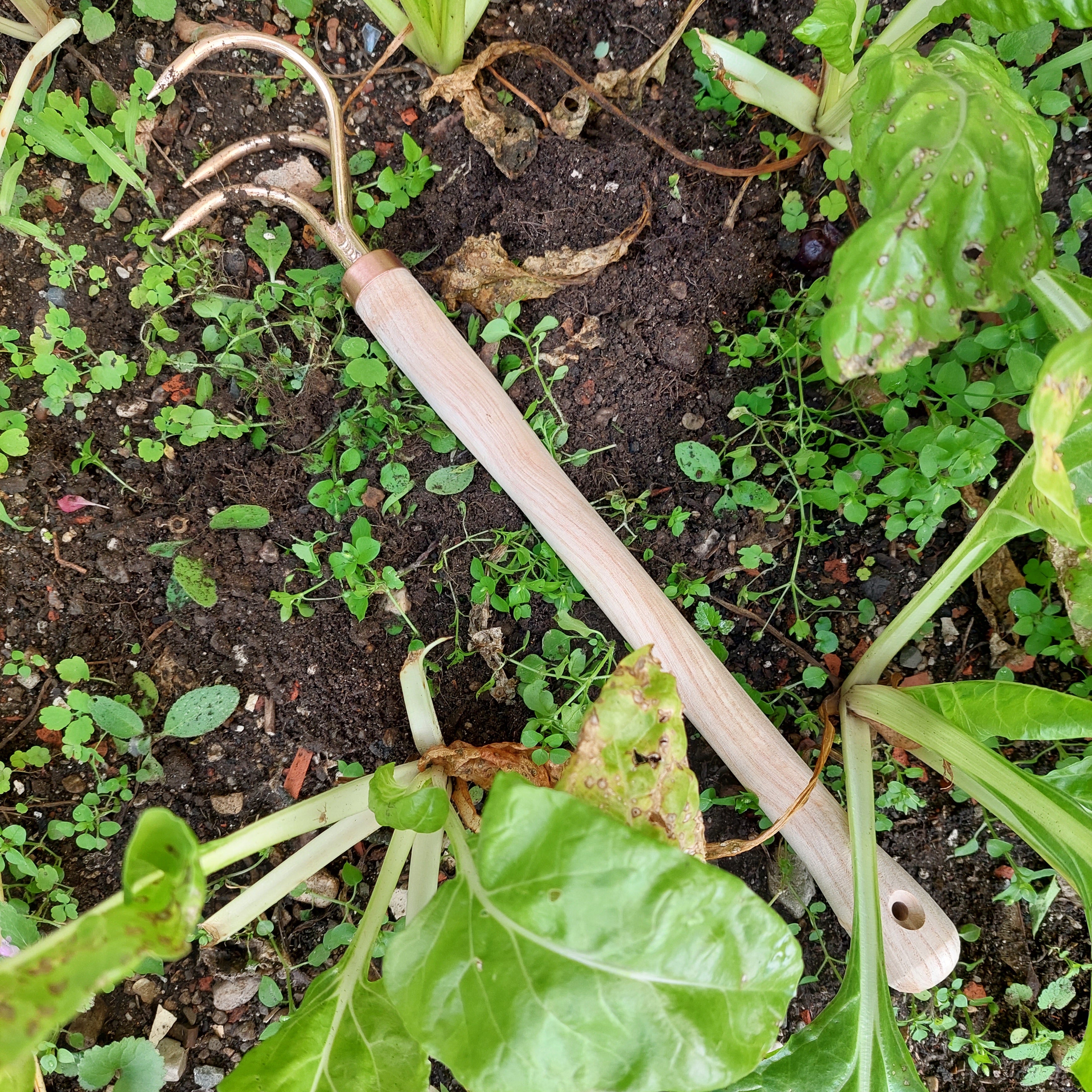 Copper Claw Cultivator Veles