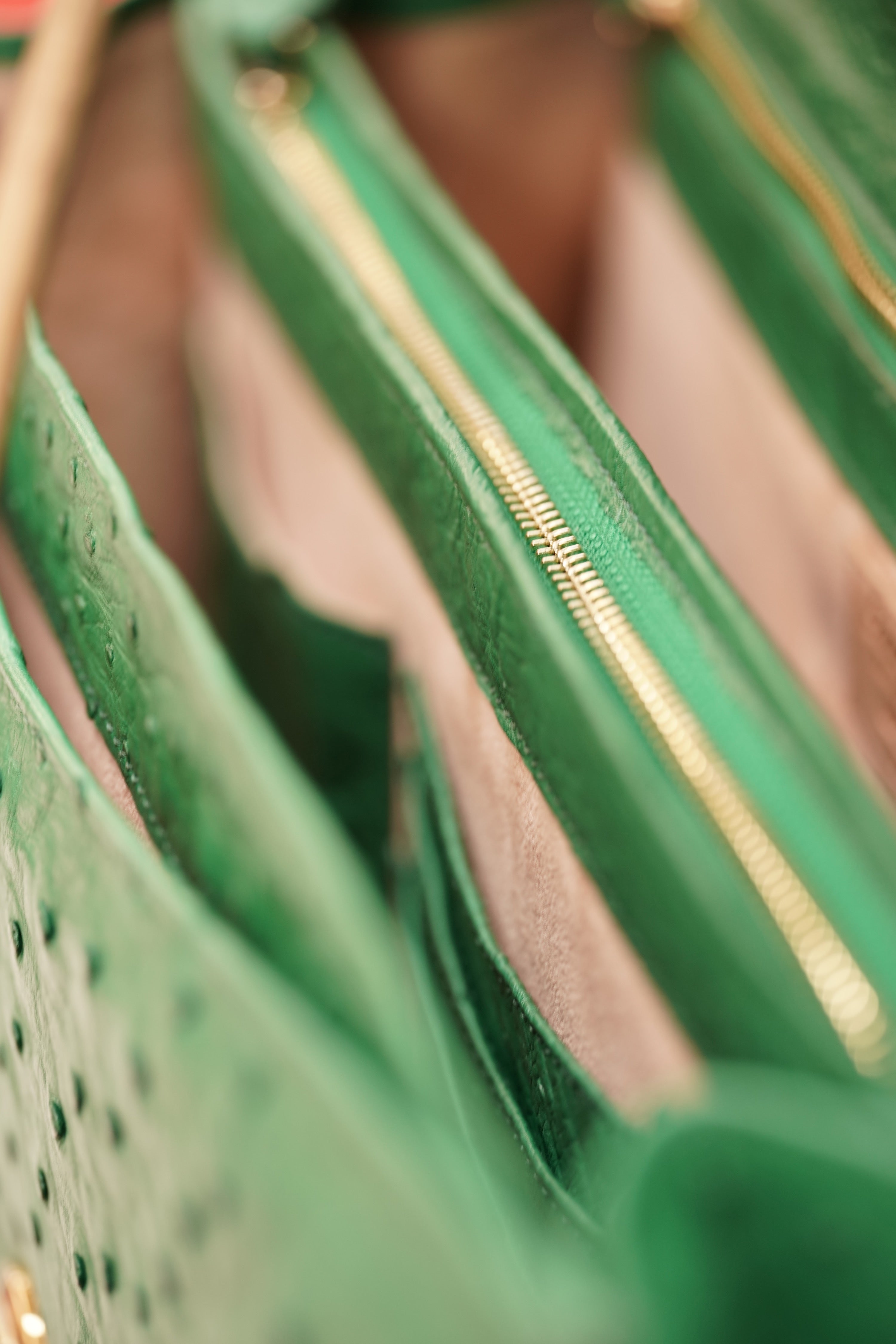 Green A4 business case in ostrich leather