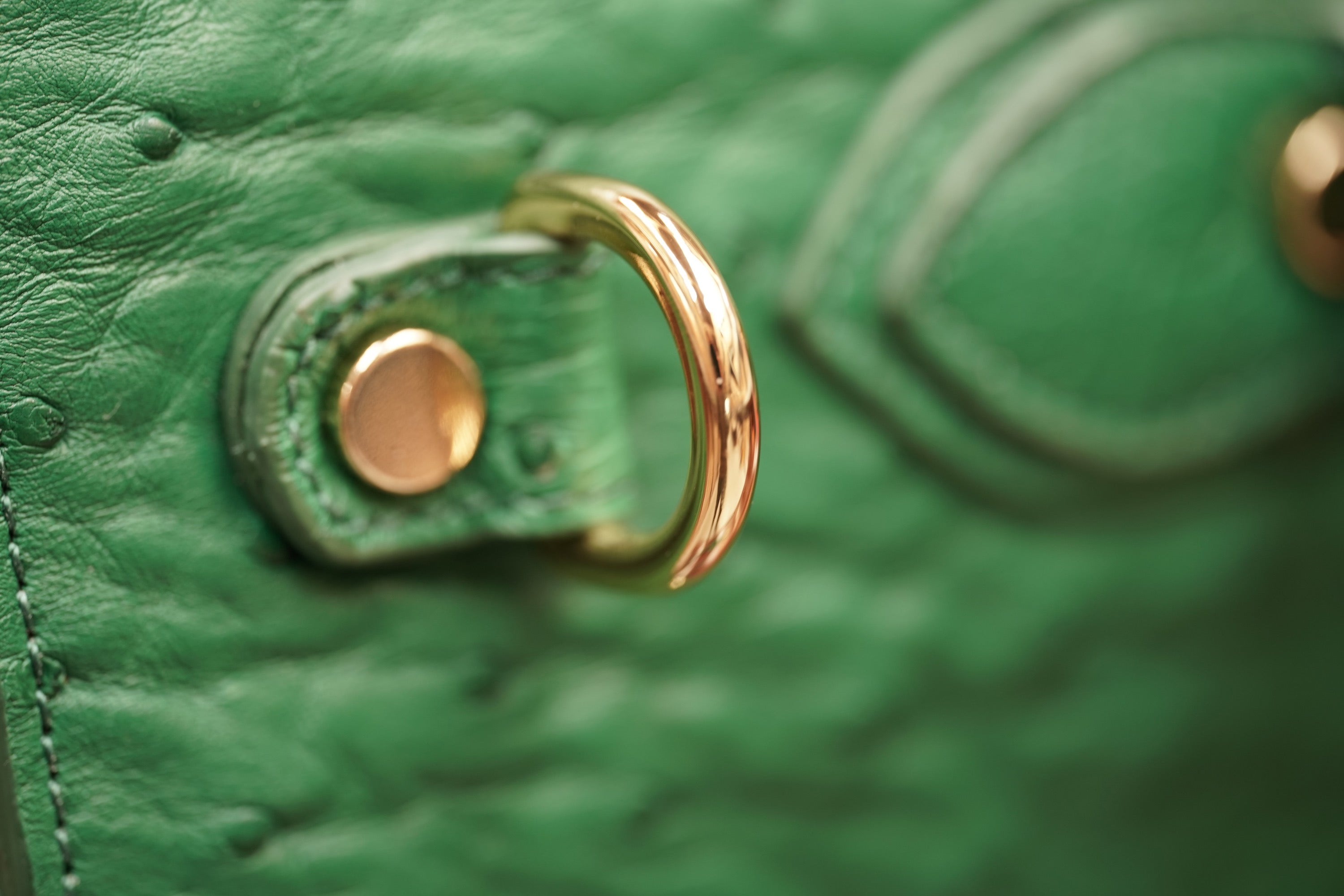 Green A4 business case in ostrich leather
