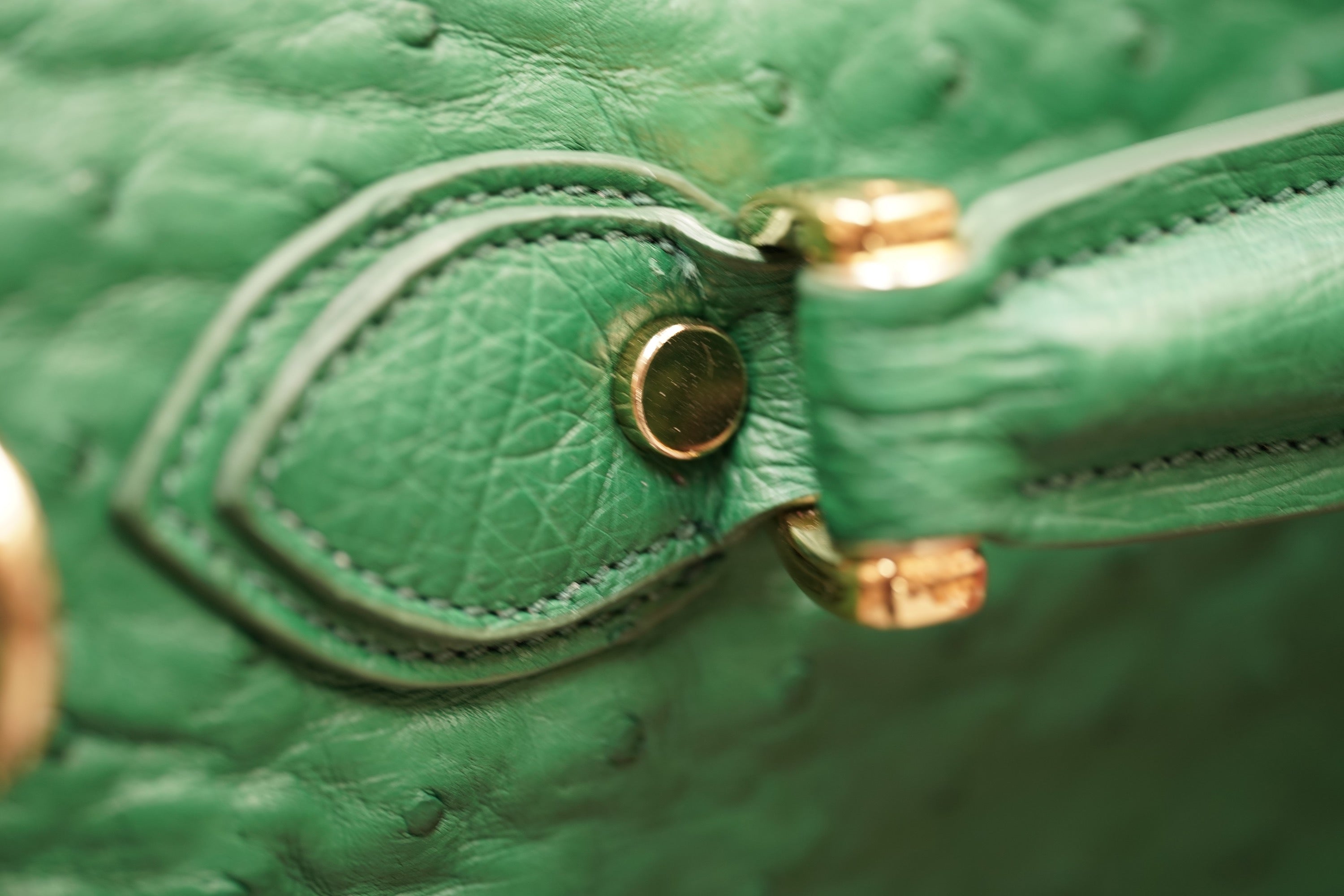 Green A4 business case in ostrich leather
