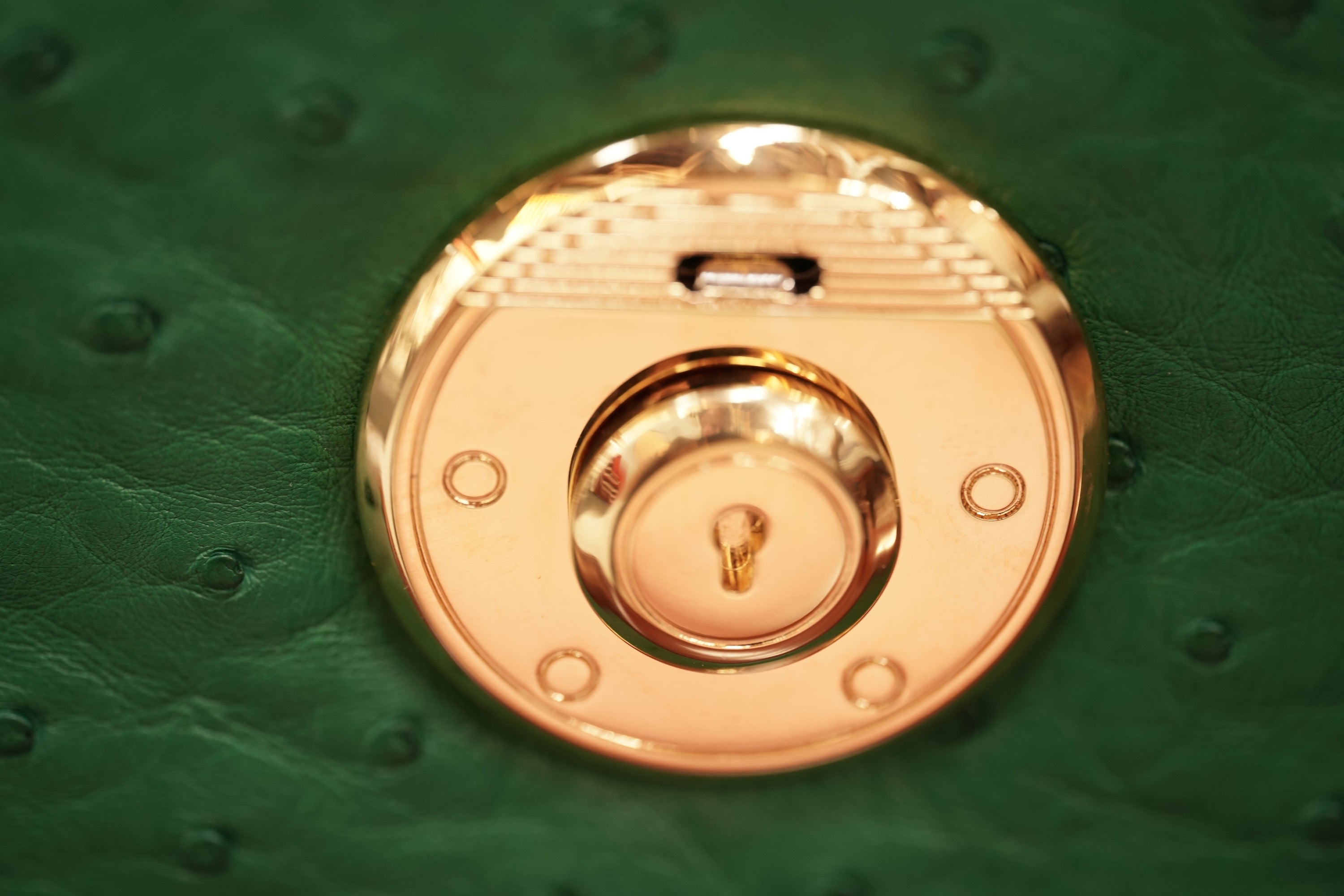 Green A4 business case in ostrich leather