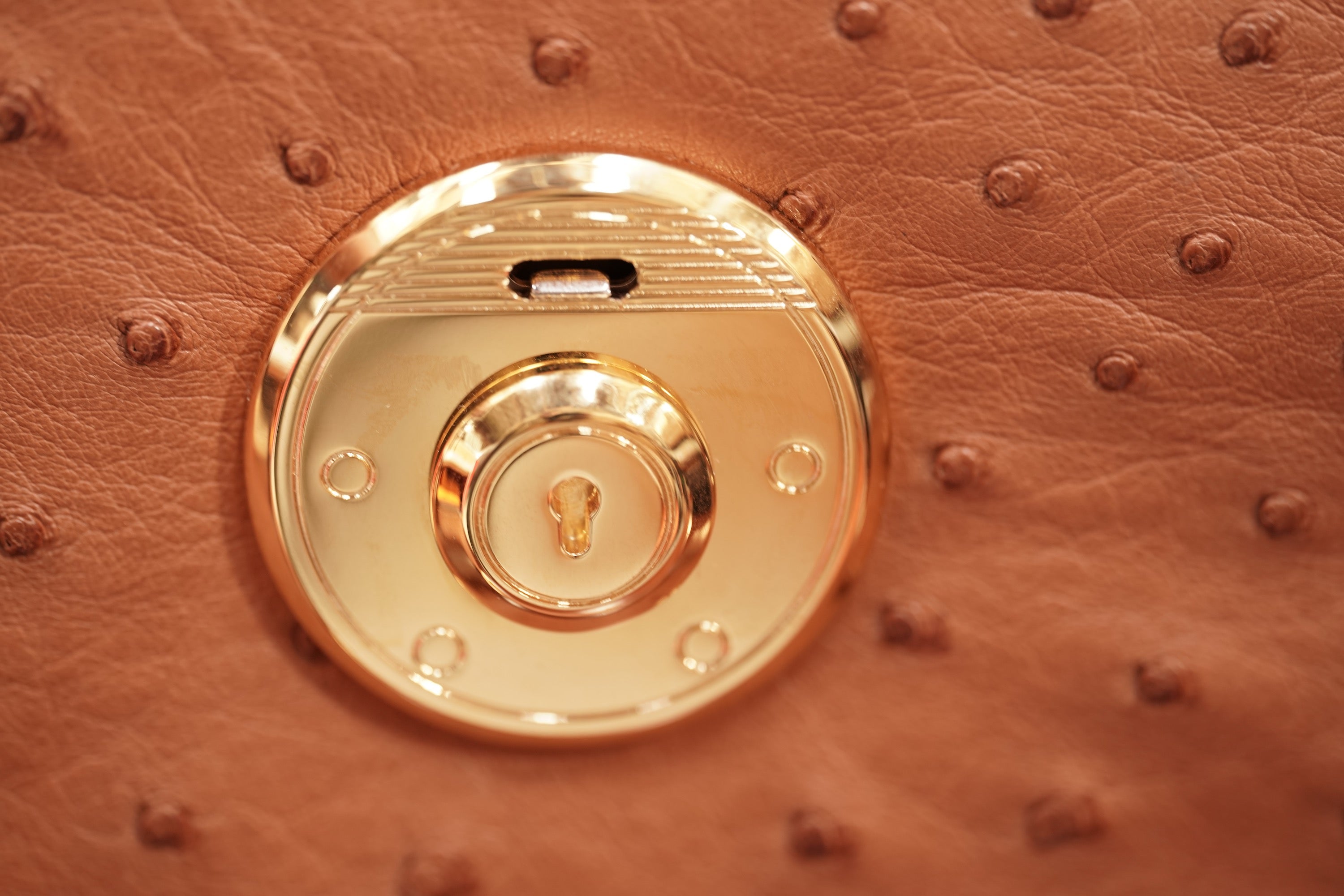 camel A4+ BUSINESS CASE IN OSTRICH LEATHER