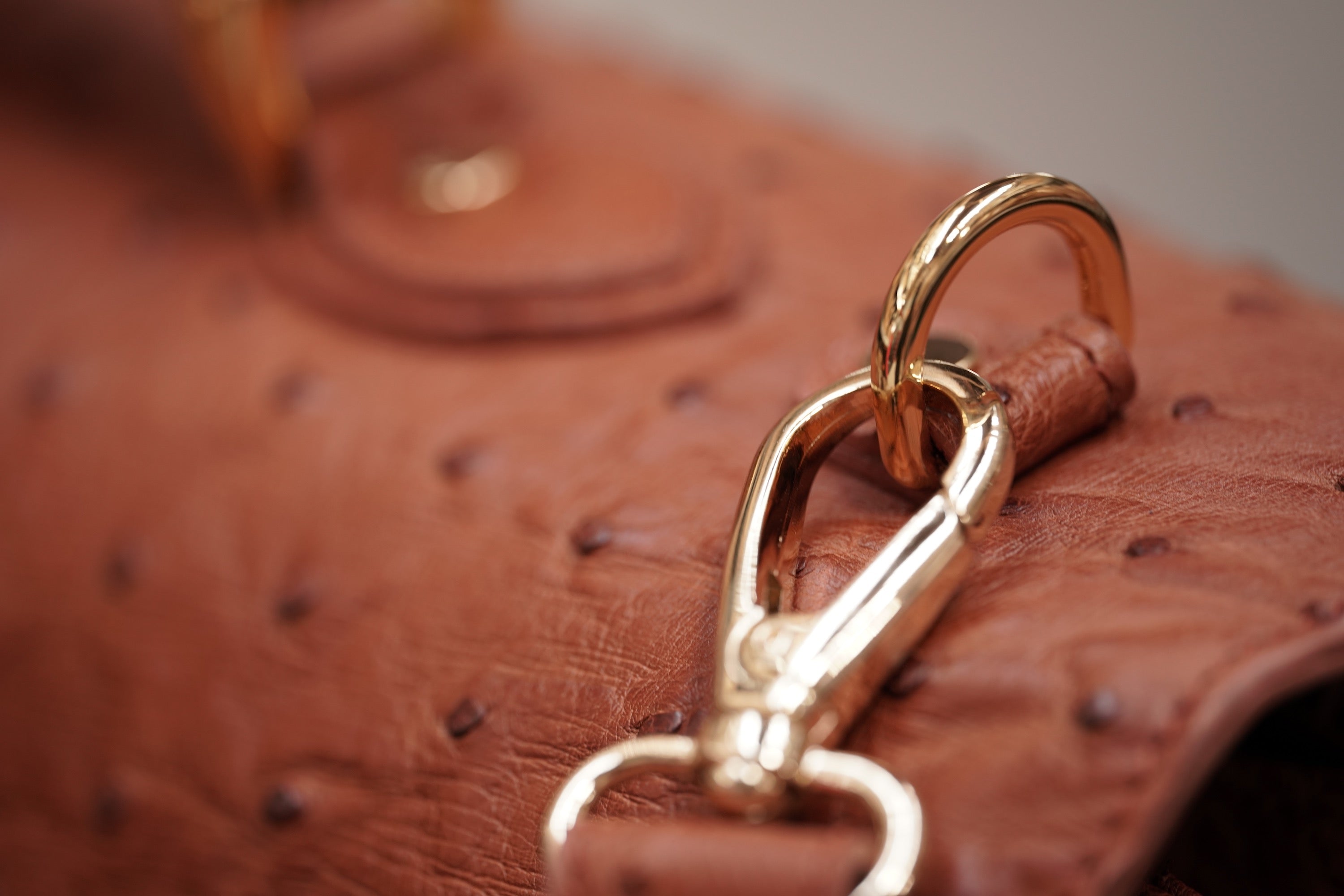 BROWN A4+ BUSINESS CASE IN OSTRICH LEATHER