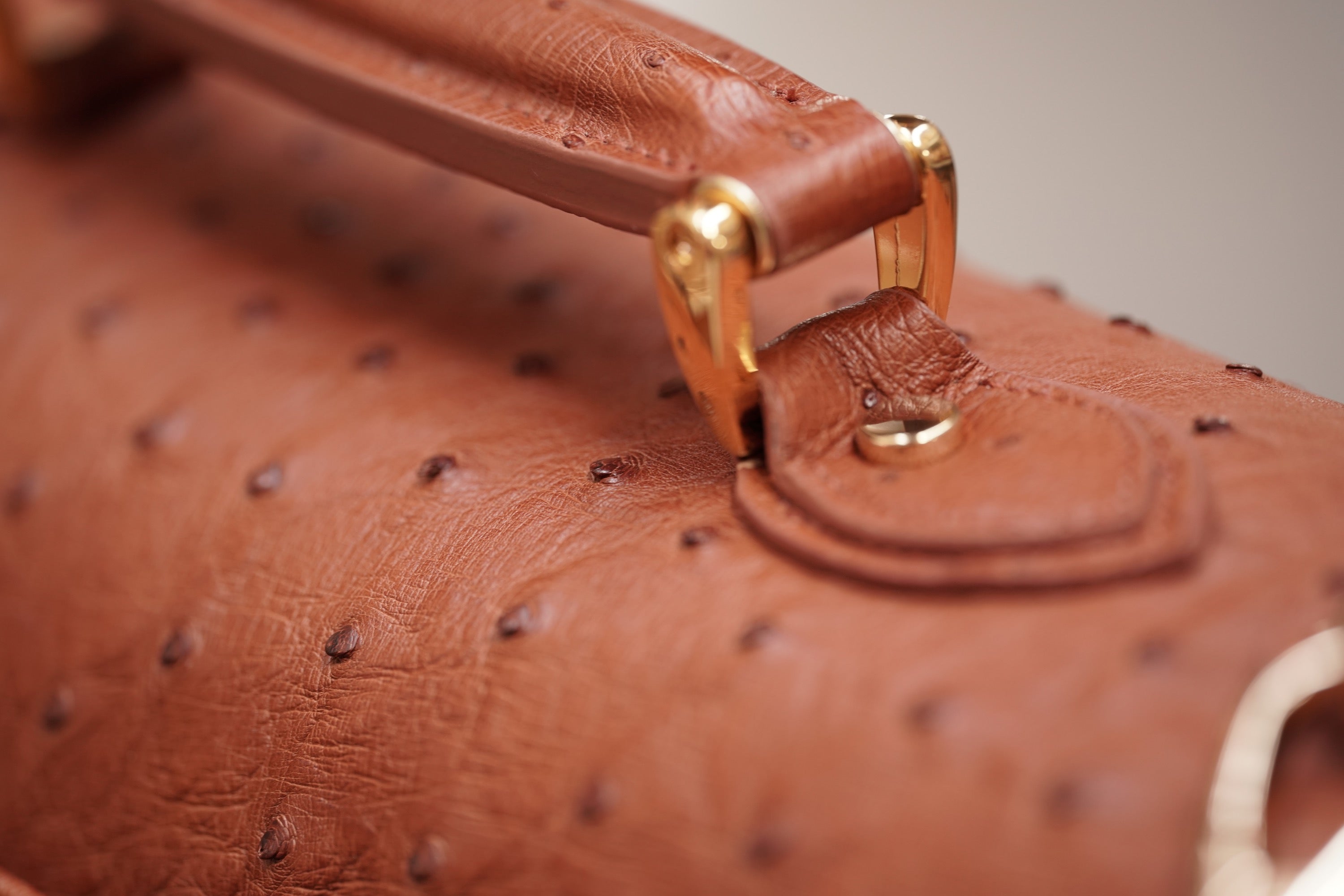 BROWN A4+ BUSINESS CASE IN OSTRICH LEATHER