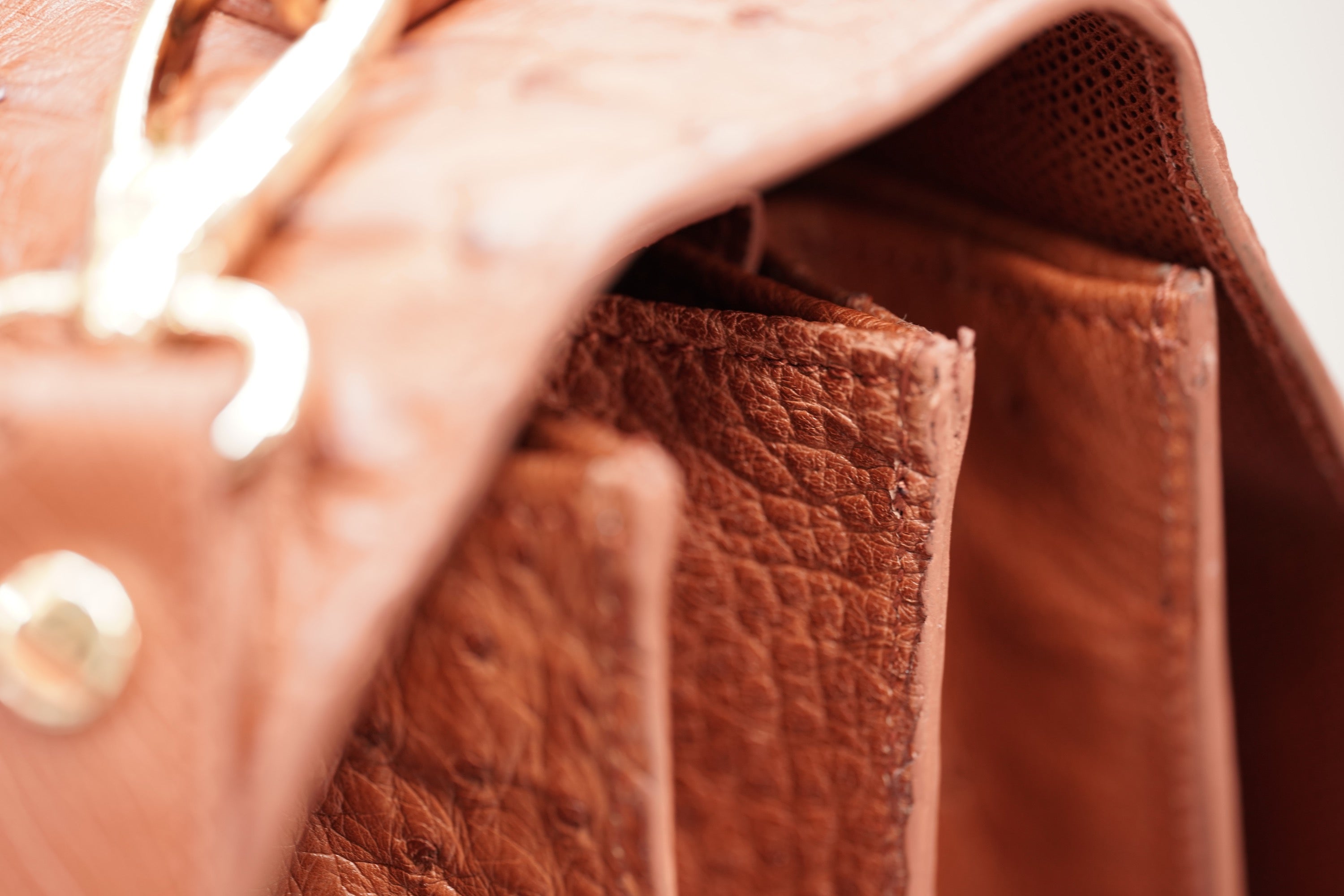 BROWN A4+ BUSINESS CASE IN OSTRICH LEATHER