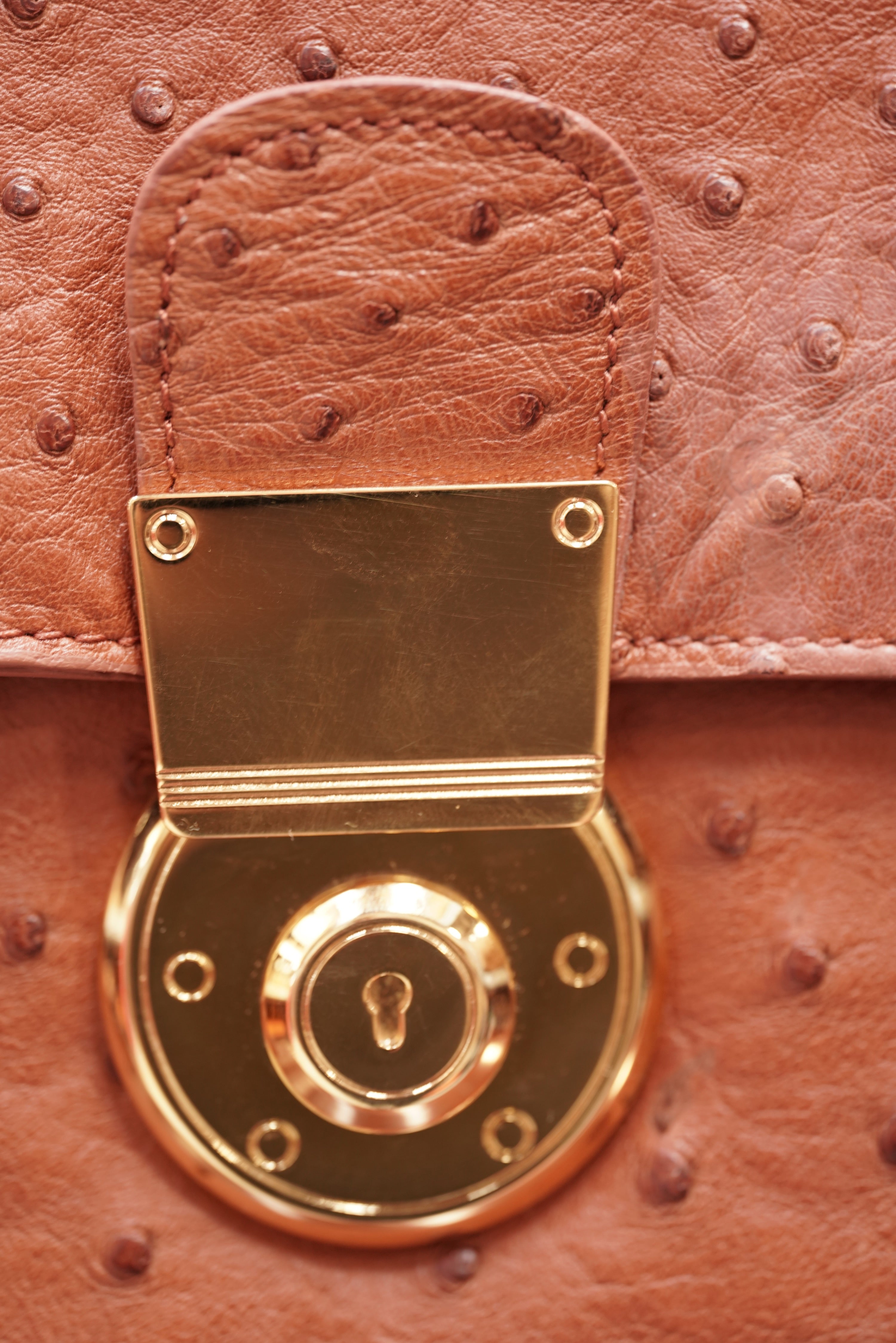 BROWN A4+ BUSINESS CASE IN OSTRICH LEATHER