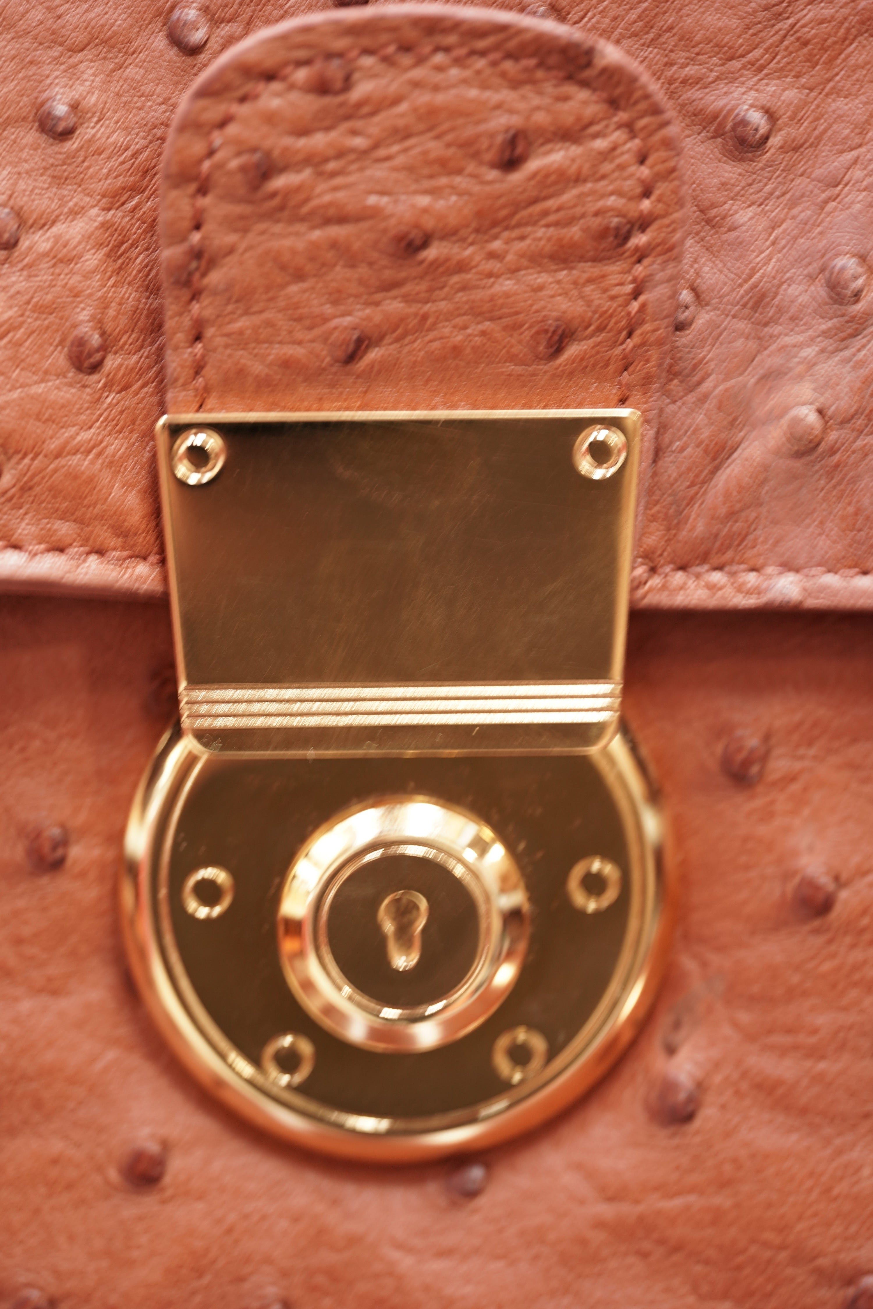BROWN A4+ BUSINESS CASE IN OSTRICH LEATHER