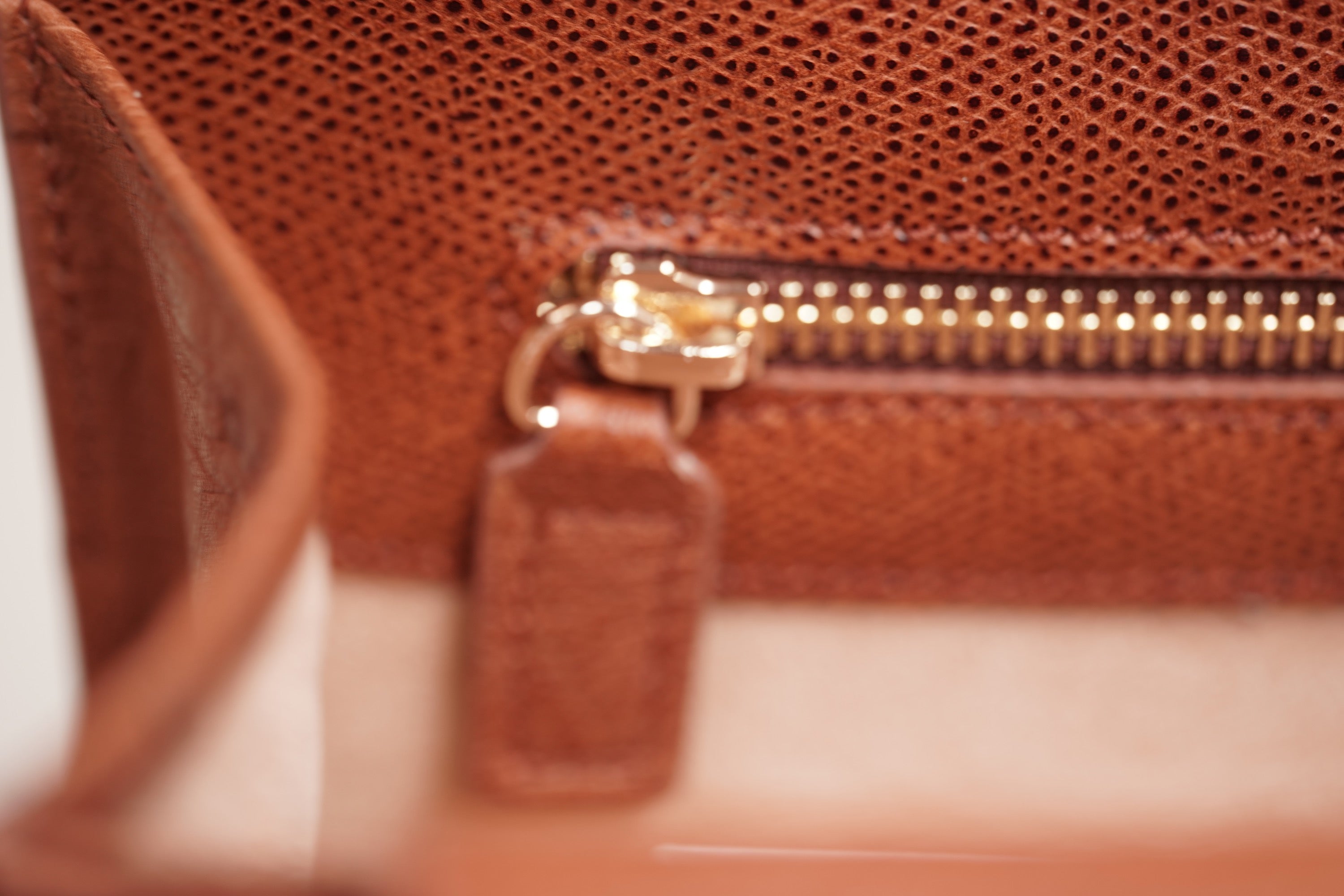 BROWN A4+ BUSINESS CASE IN OSTRICH LEATHER