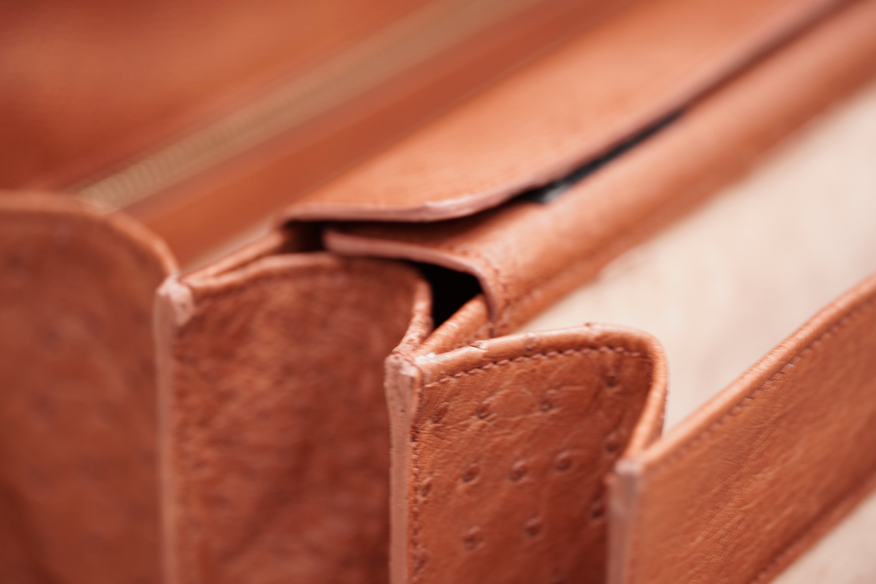 BROWN A4+ BUSINESS CASE IN OSTRICH LEATHER