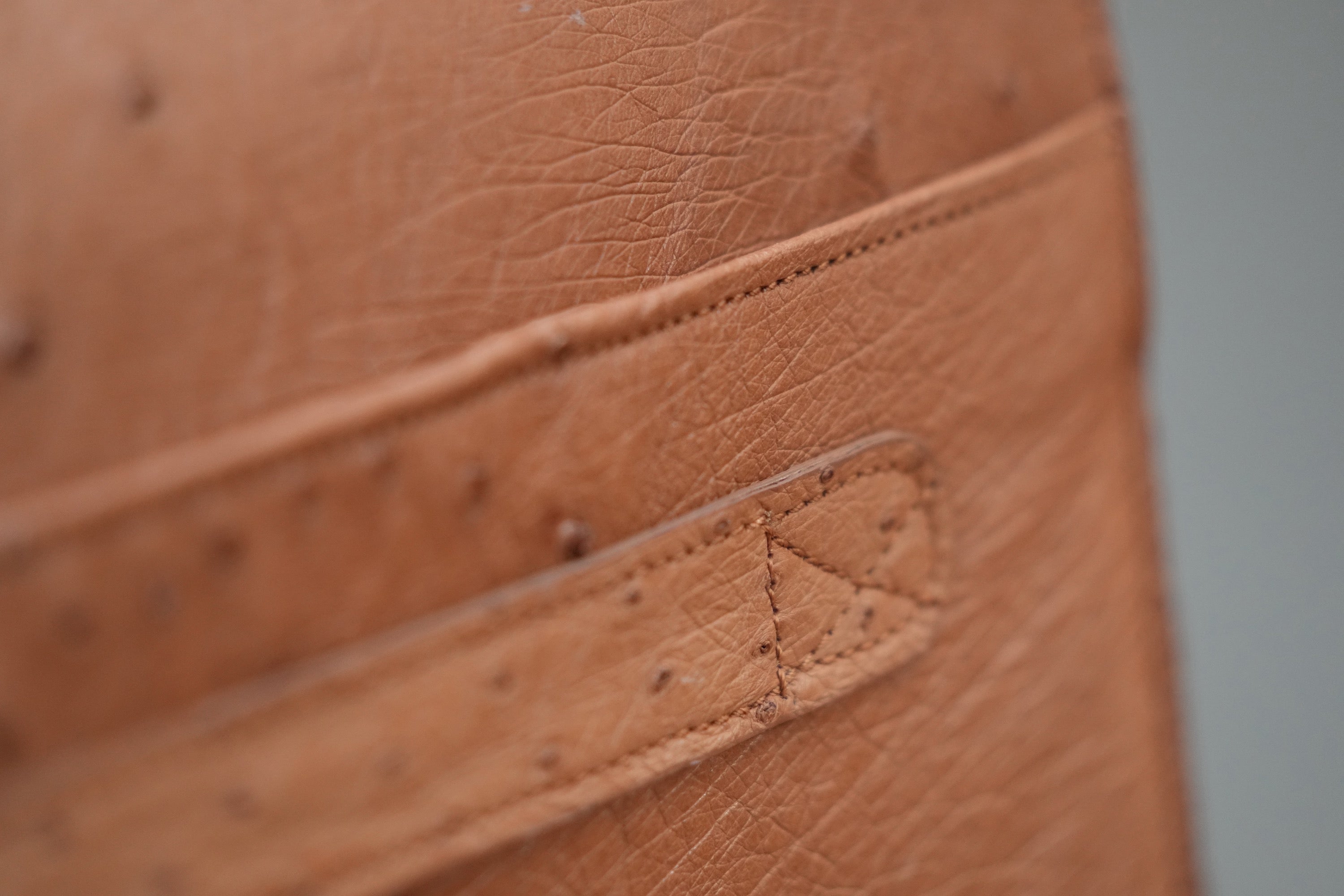 camel A4+ BUSINESS CASE IN OSTRICH LEATHER