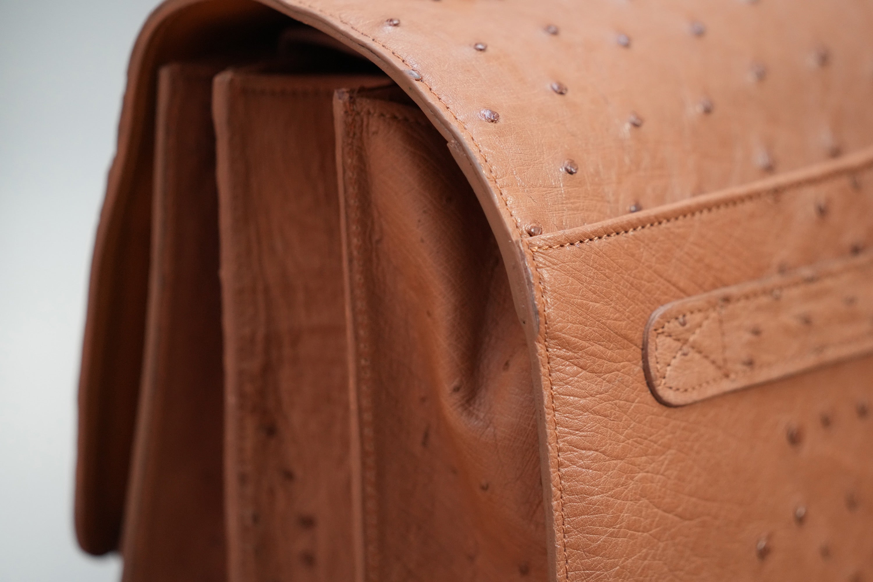 camel A4+ BUSINESS CASE IN OSTRICH LEATHER