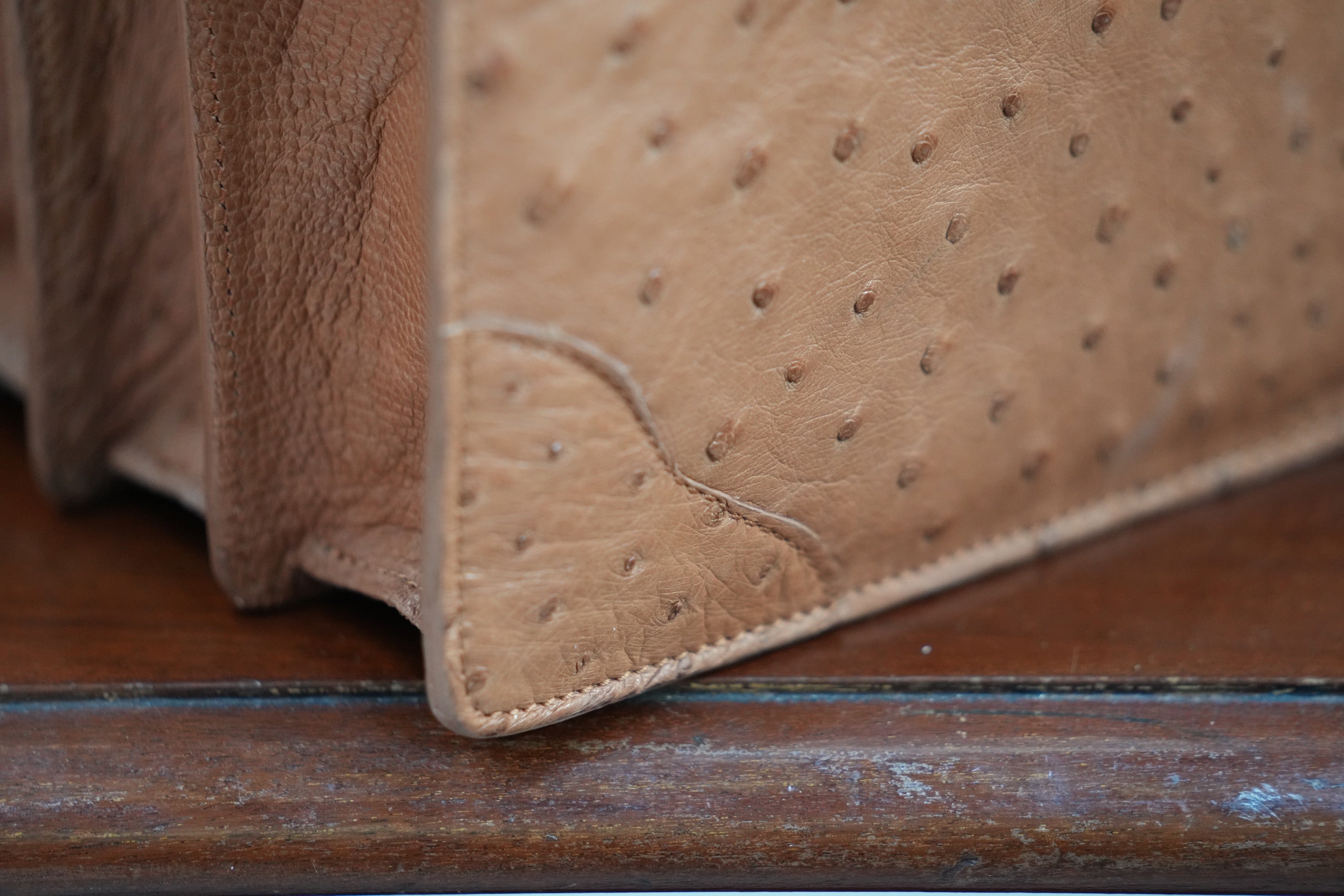 camel A4+ BUSINESS CASE IN OSTRICH LEATHER