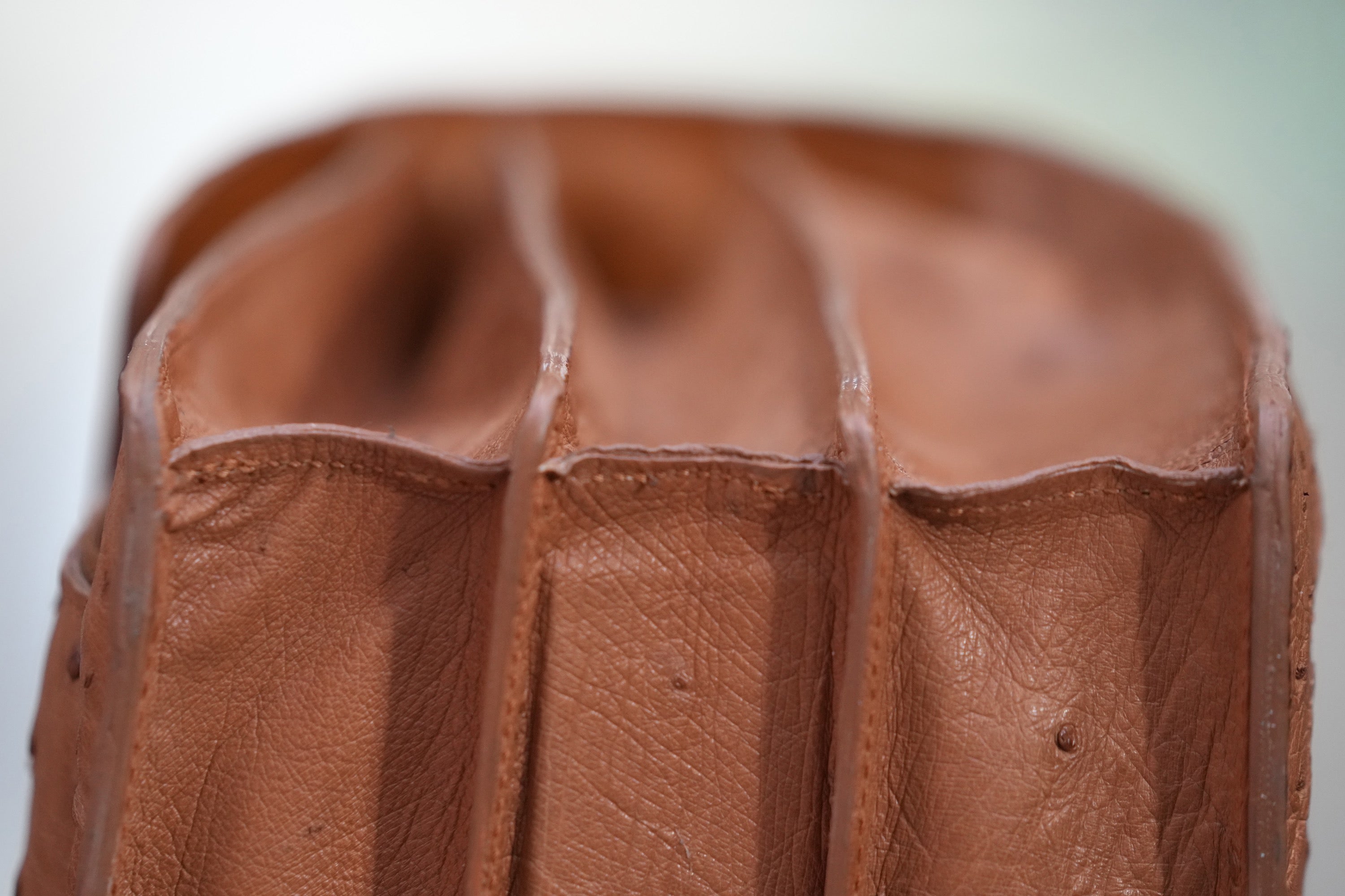 camel A4+ BUSINESS CASE IN OSTRICH LEATHER