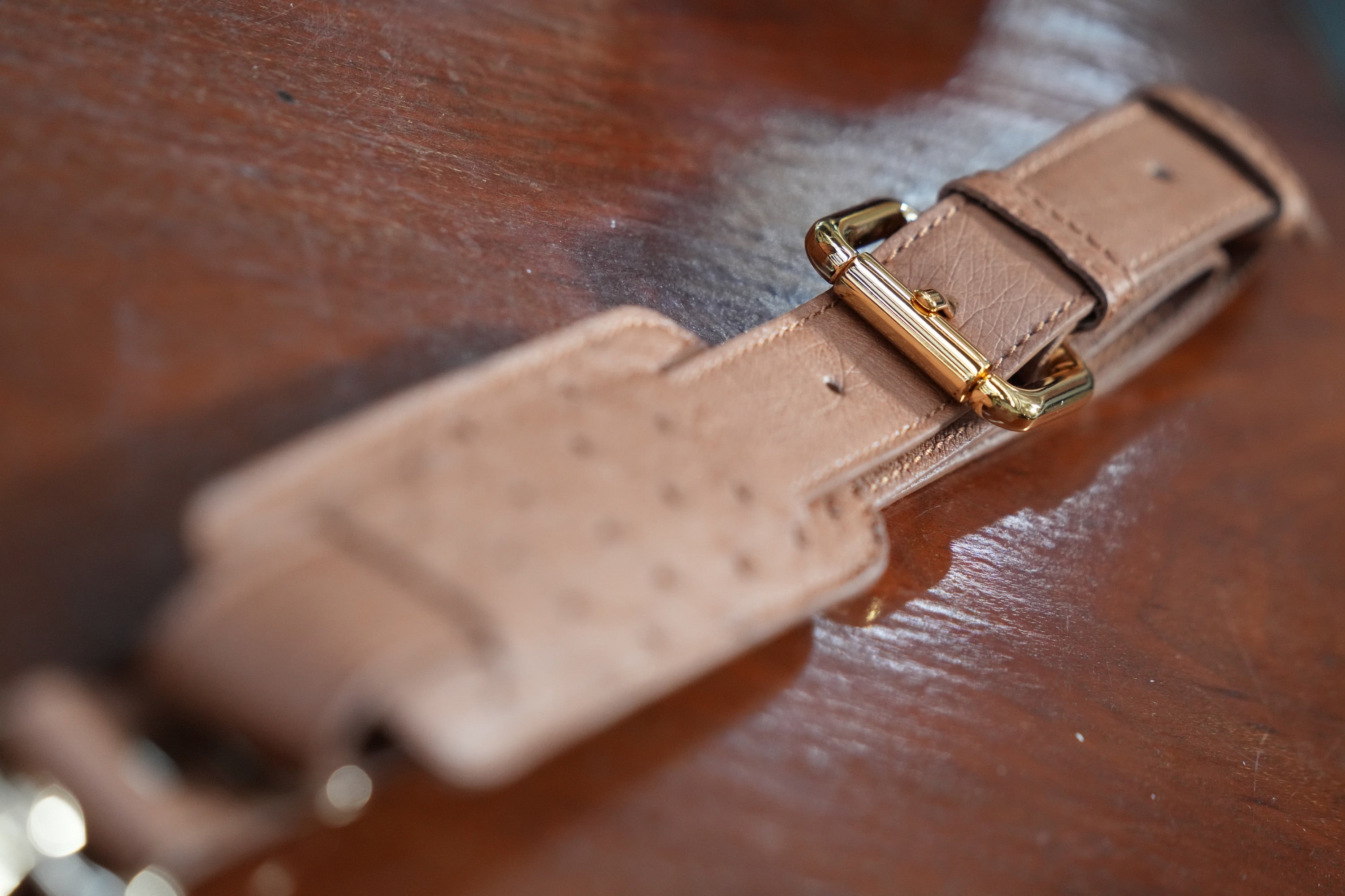 camel A4+ BUSINESS CASE IN OSTRICH LEATHER