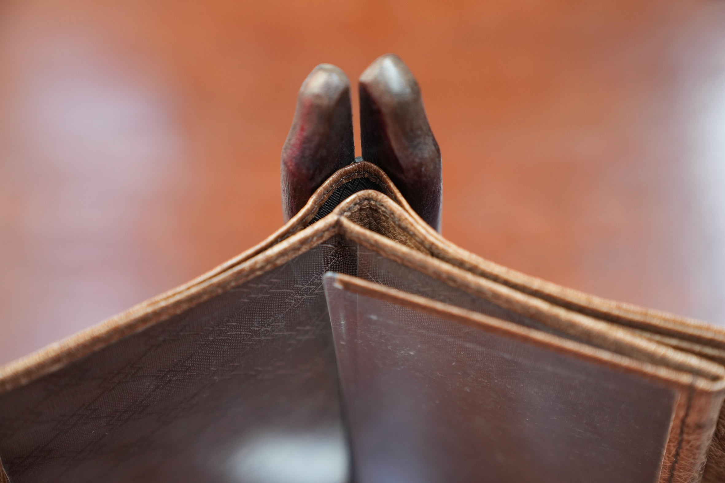 Camel ostrich wallet