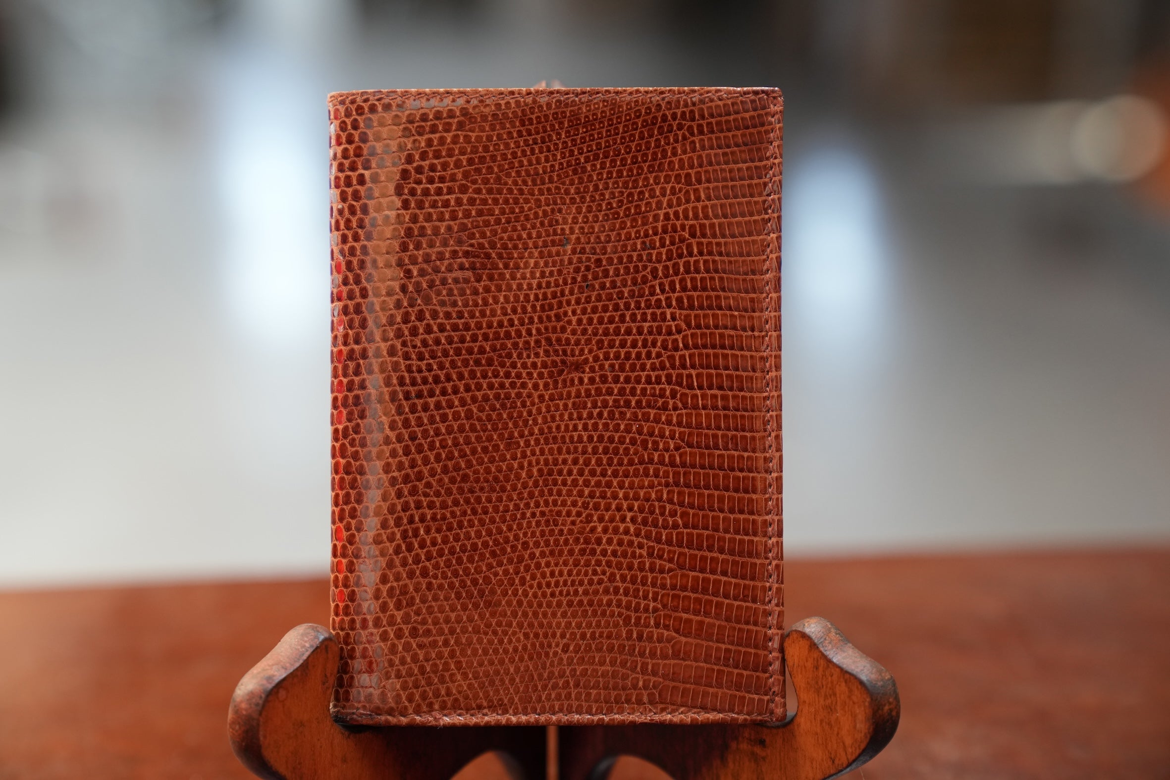 Camel lizard wallet
