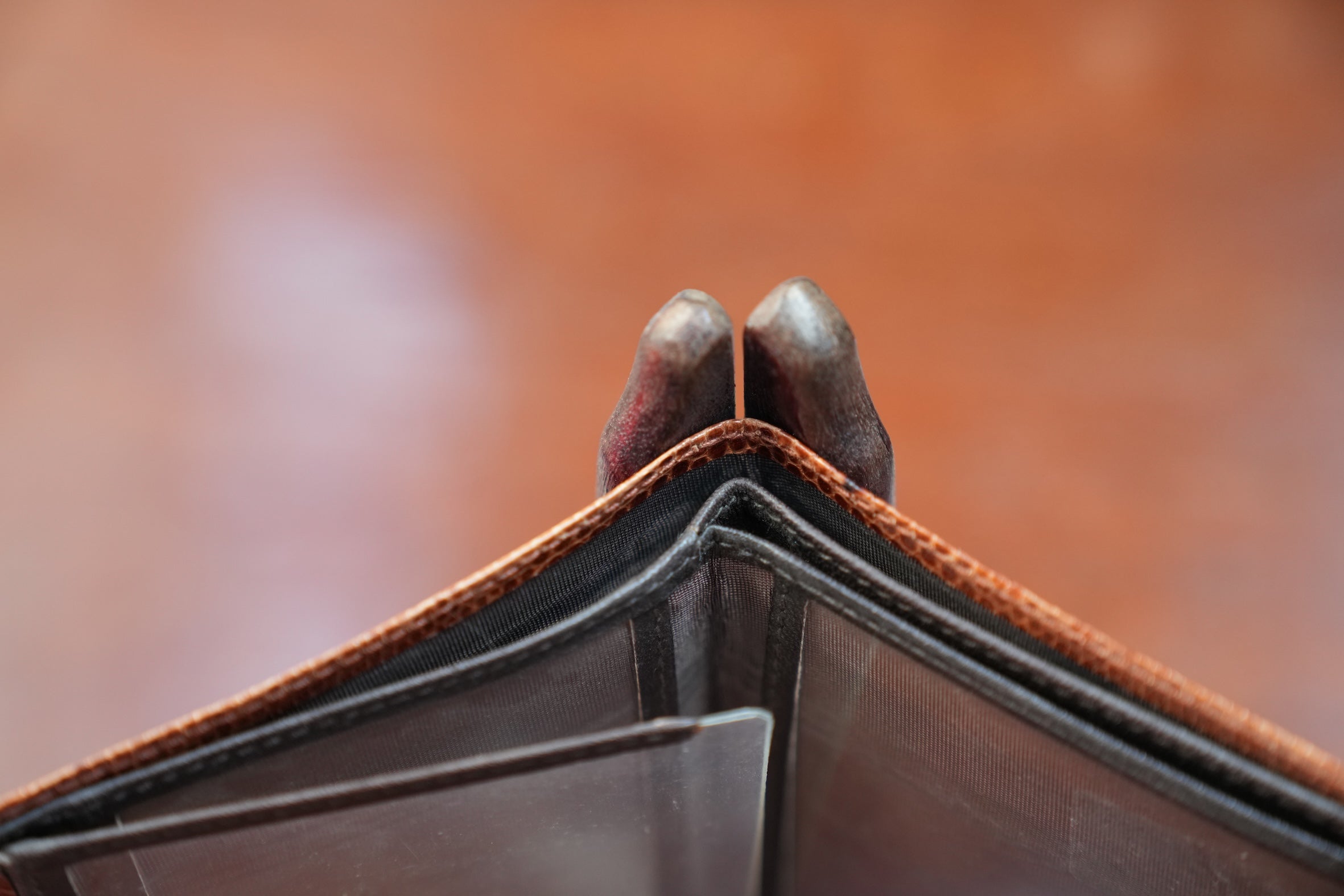 Camel lizard wallet