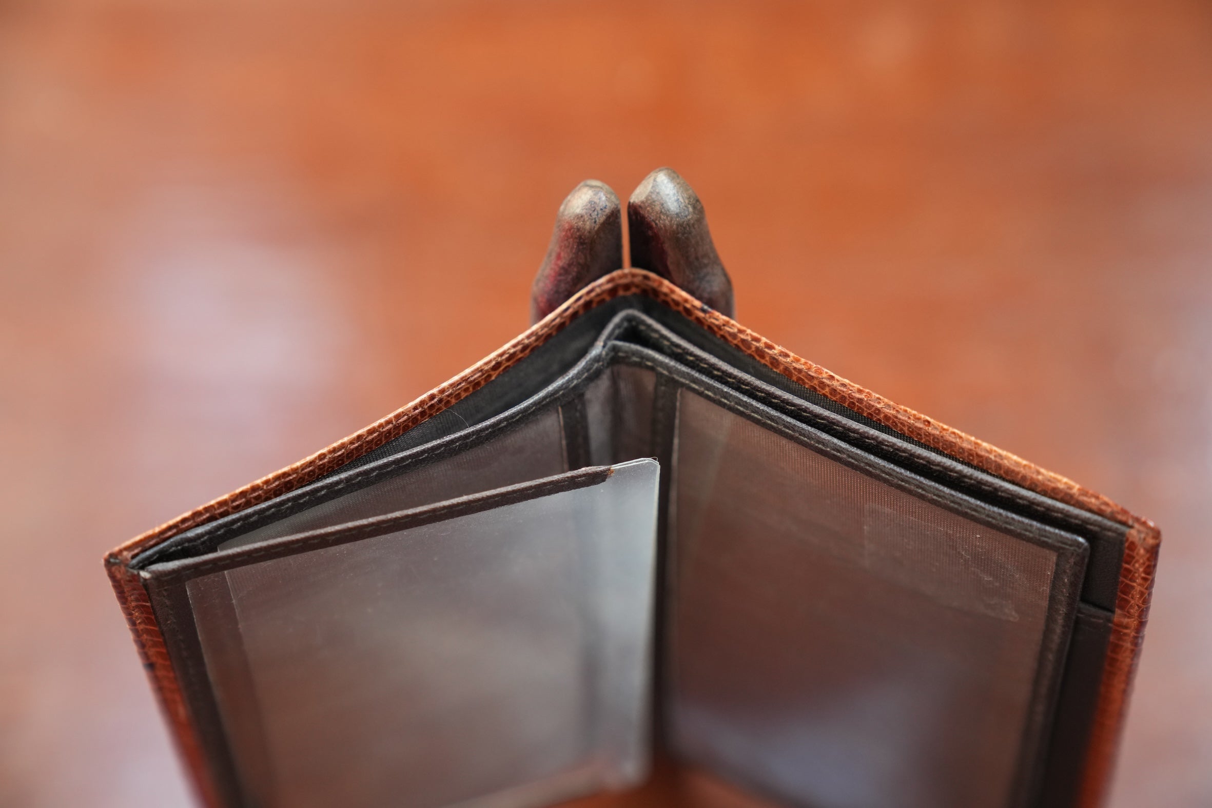 Camel lizard wallet