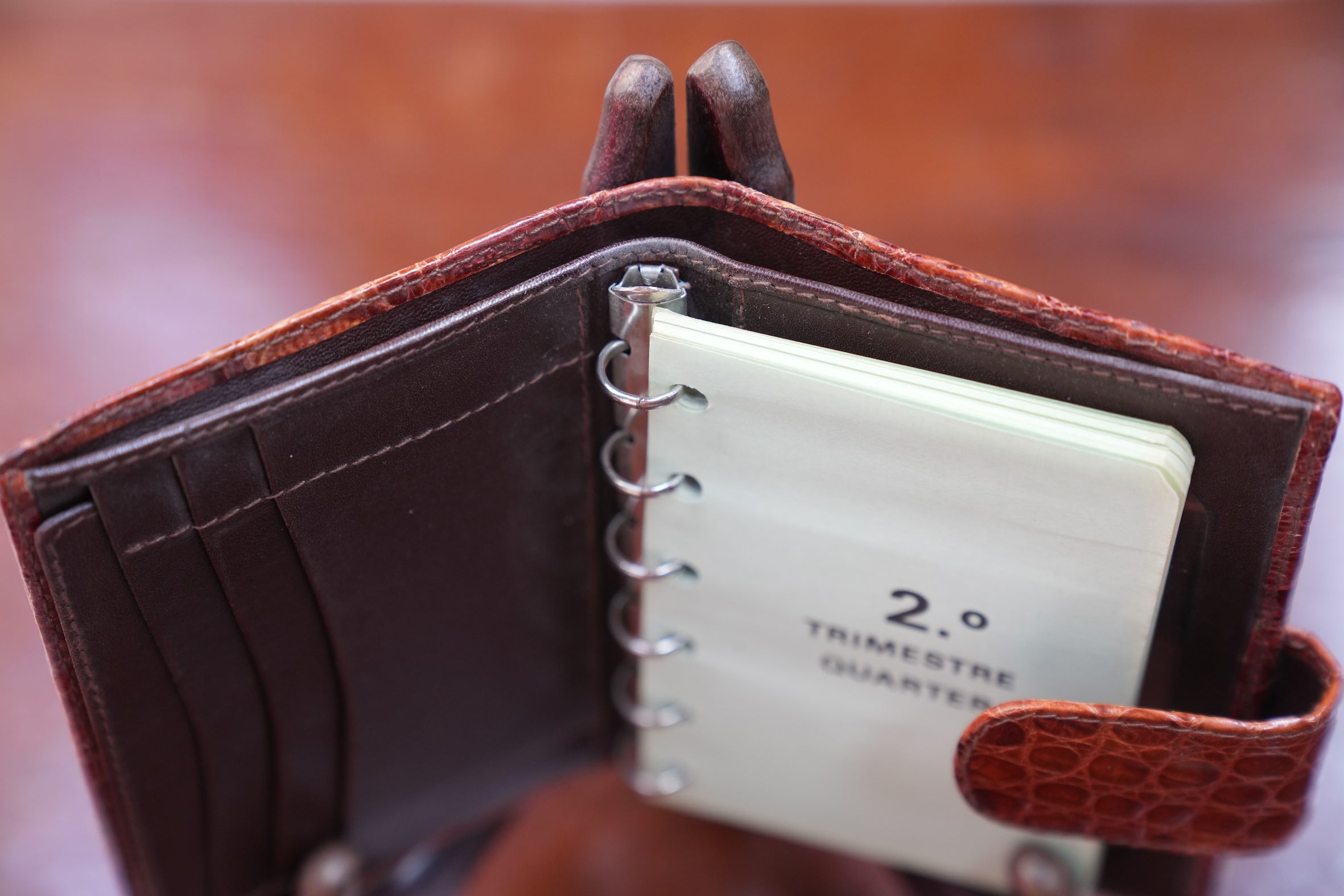 Camel crocodile organizer