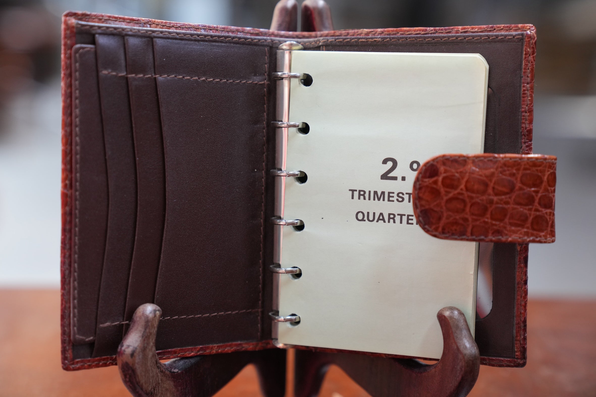 Camel crocodile organizer