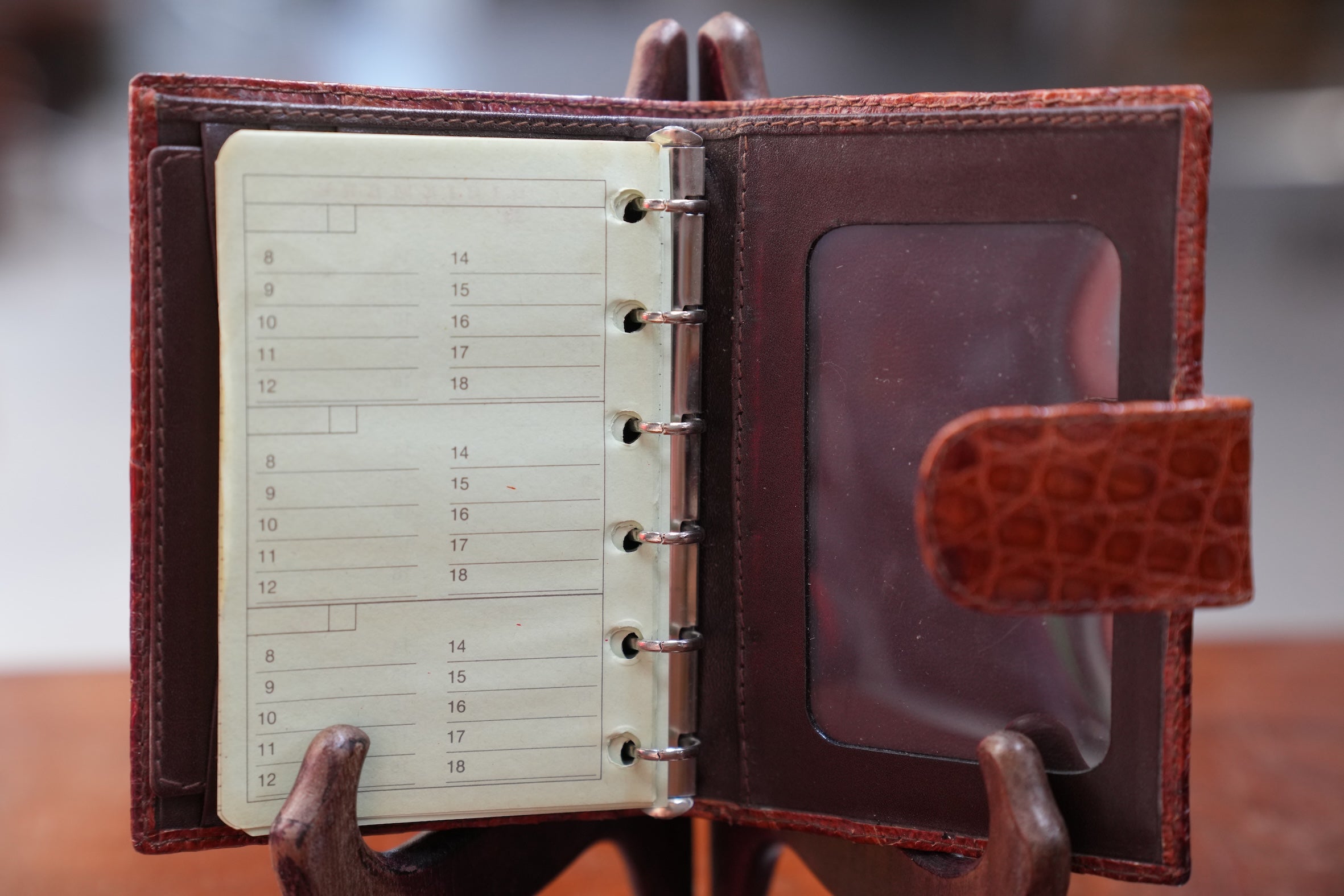 Camel crocodile organizer