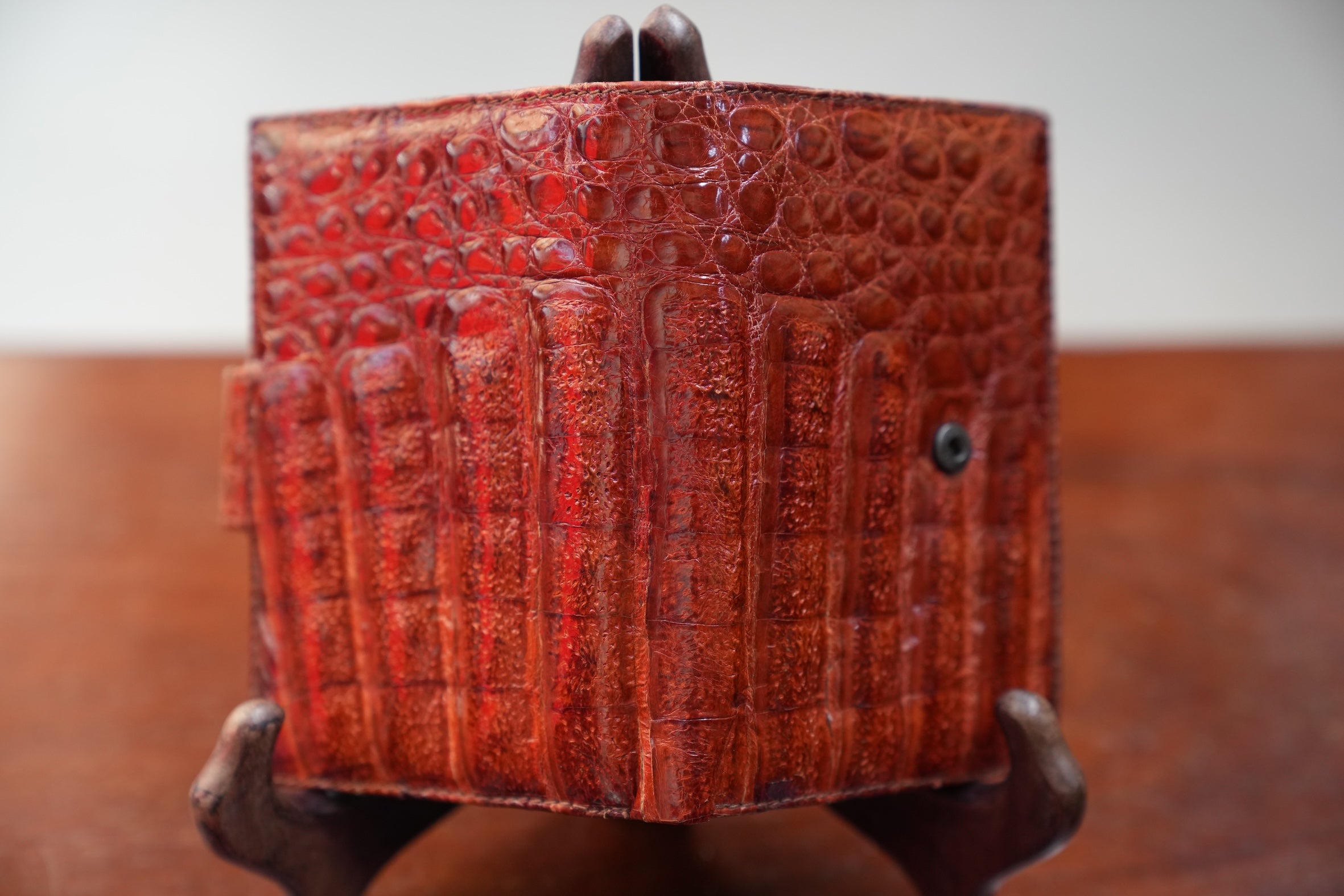 Camel crocodile organizer