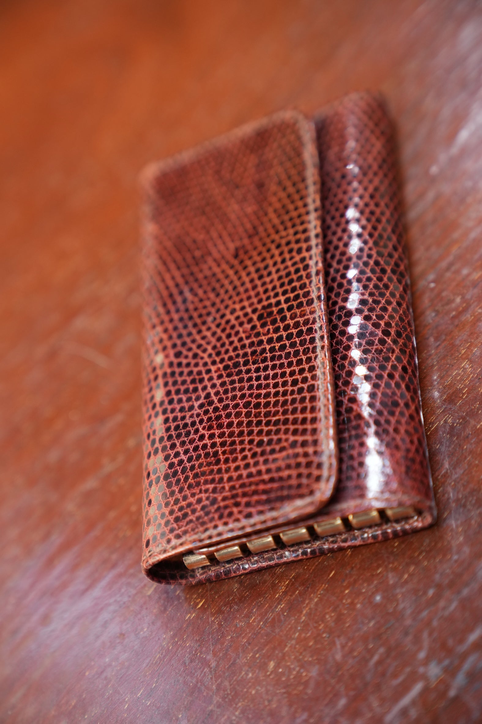 Camel lizard key wallet