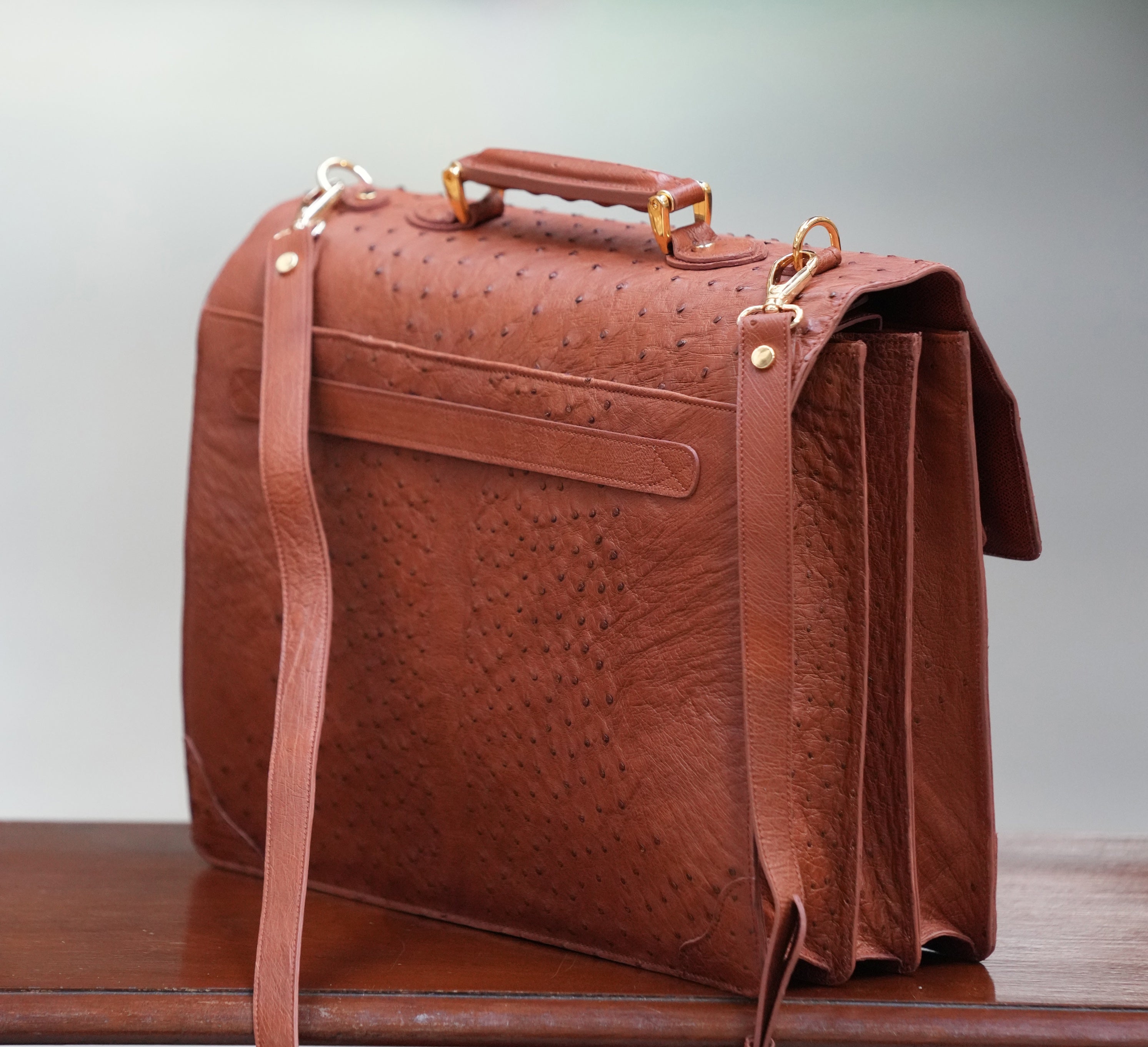 BROWN A4+ BUSINESS CASE IN OSTRICH LEATHER