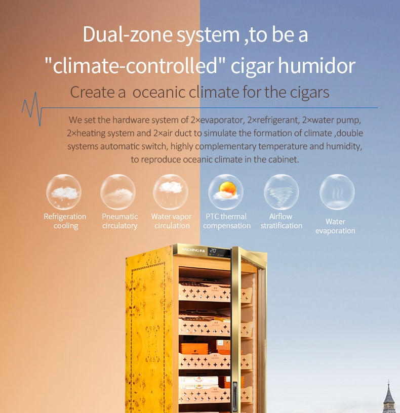Mid-size humidor MON2800A