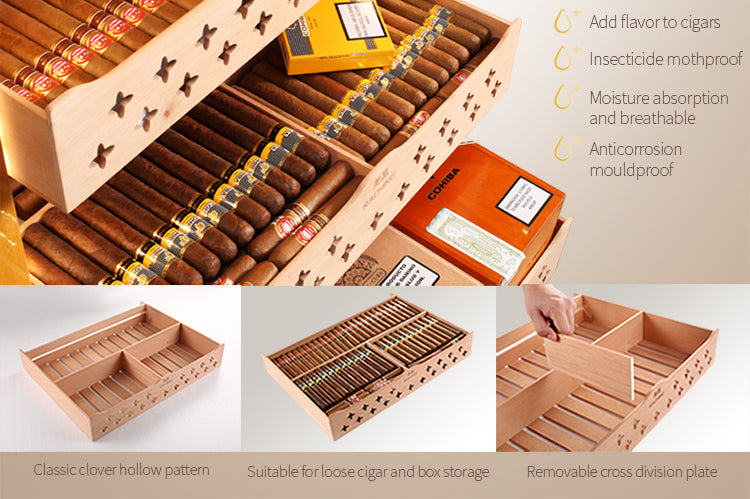 Mid-size humidor MON2800A