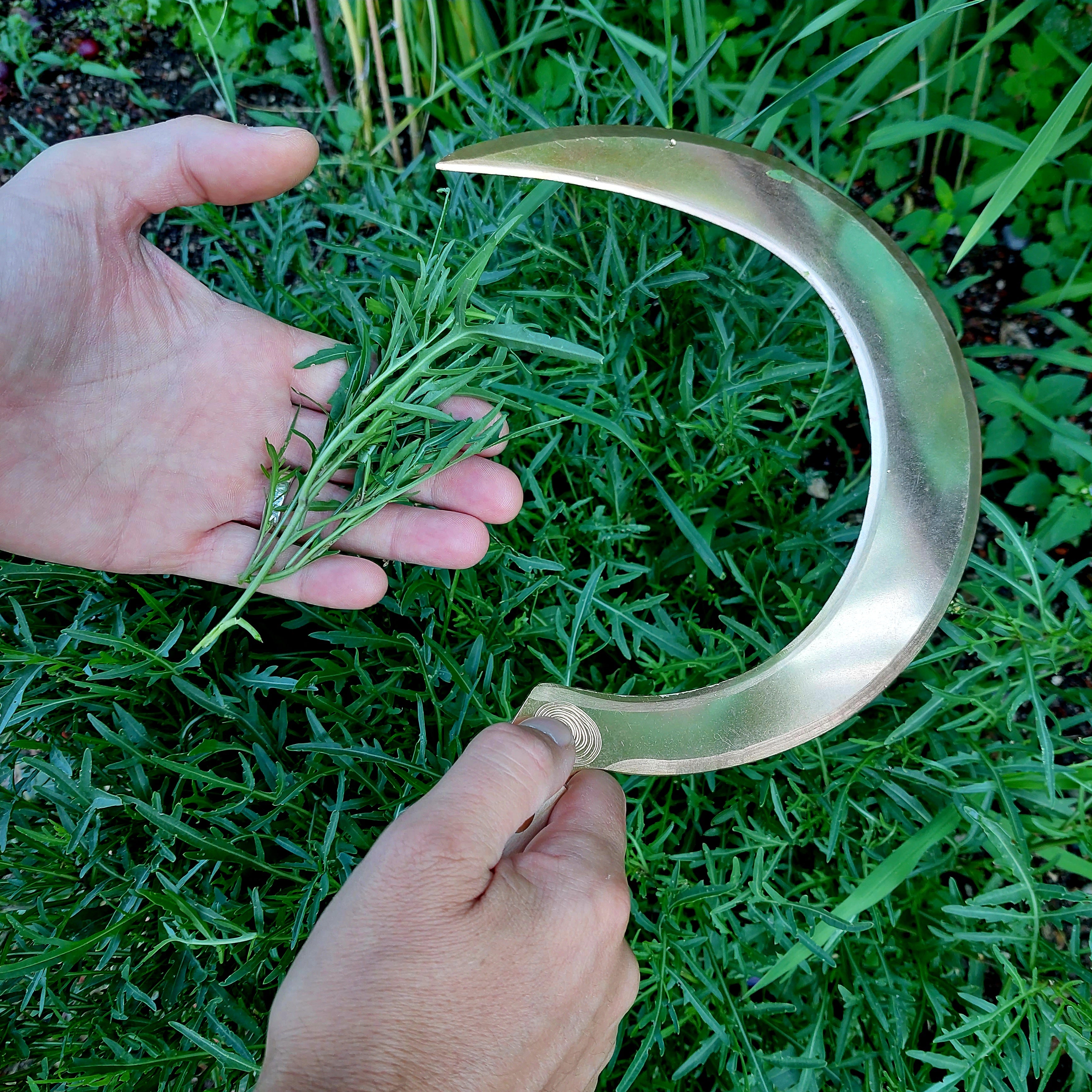 Copper Sickle Ljubimir