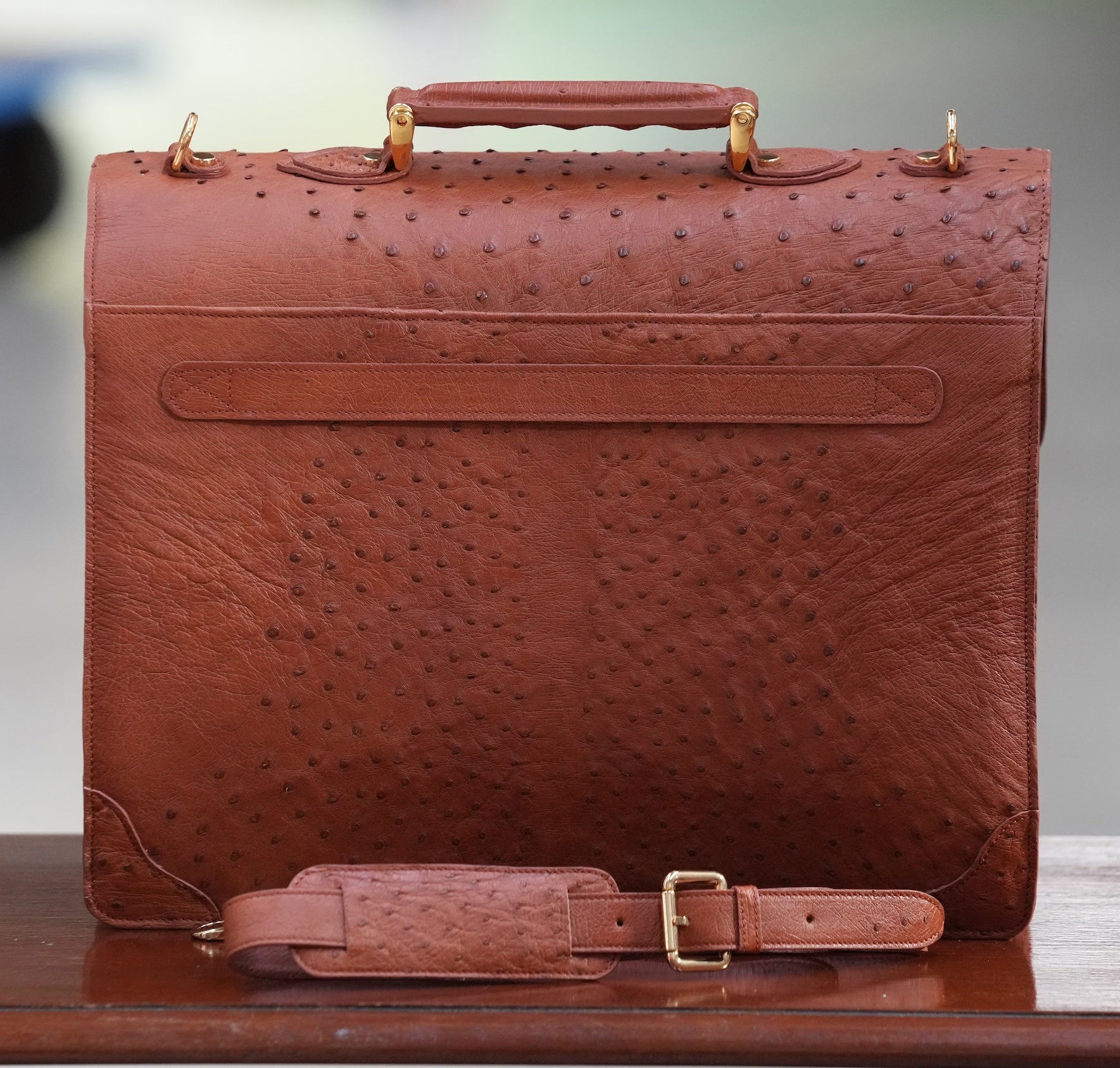 BROWN A4+ BUSINESS CASE IN OSTRICH LEATHER