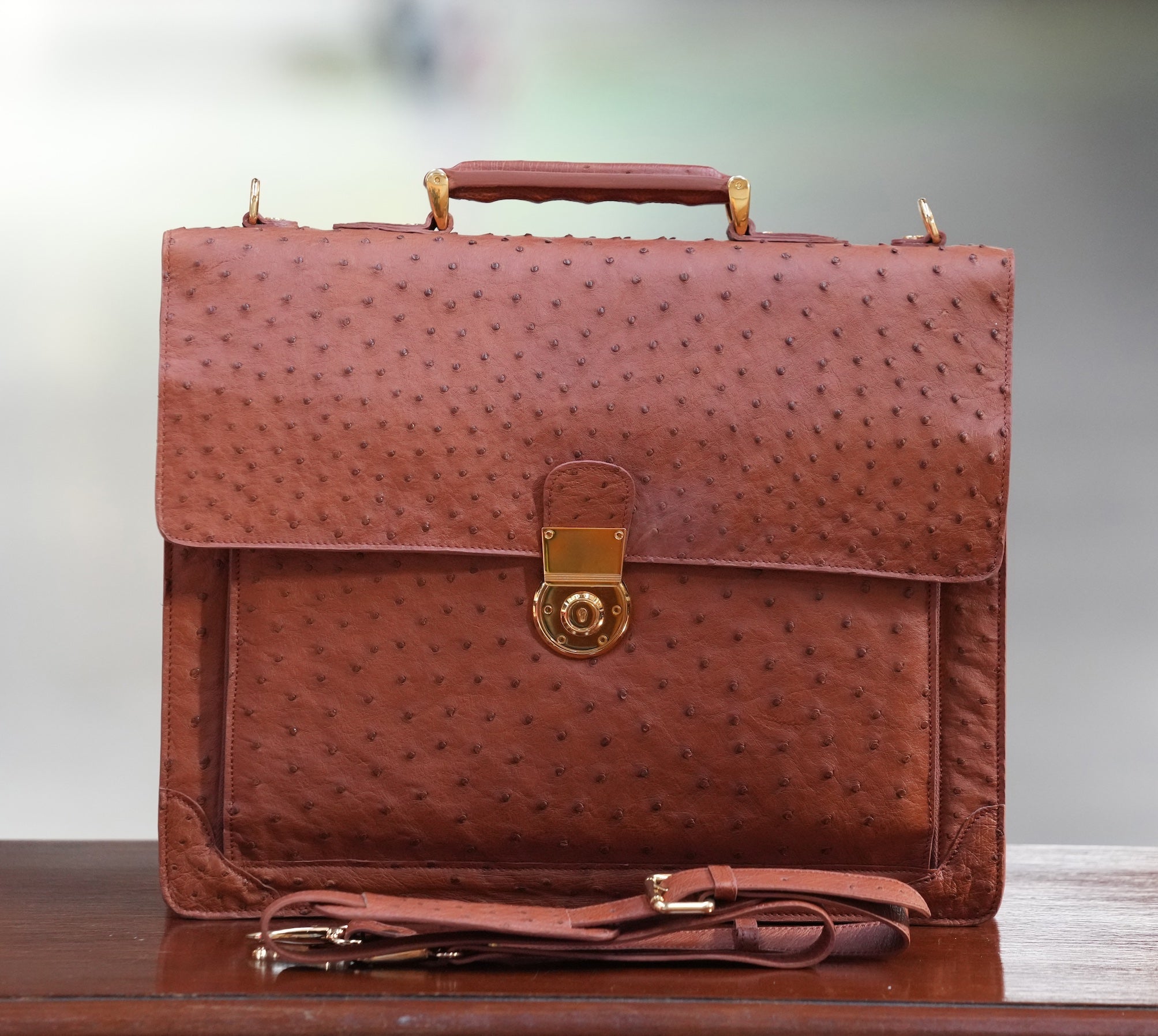 BROWN A4+ BUSINESS CASE IN OSTRICH LEATHER