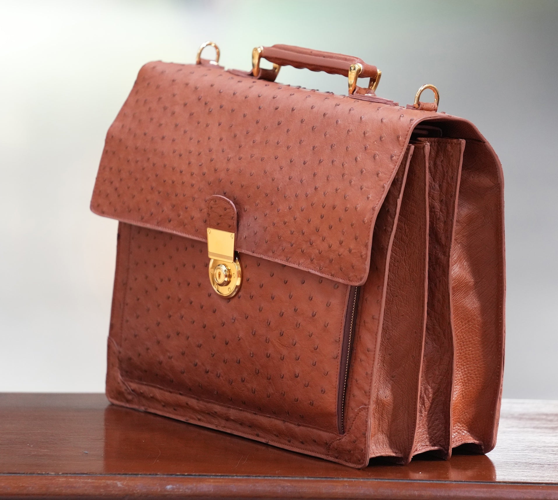 BROWN A4+ BUSINESS CASE IN OSTRICH LEATHER