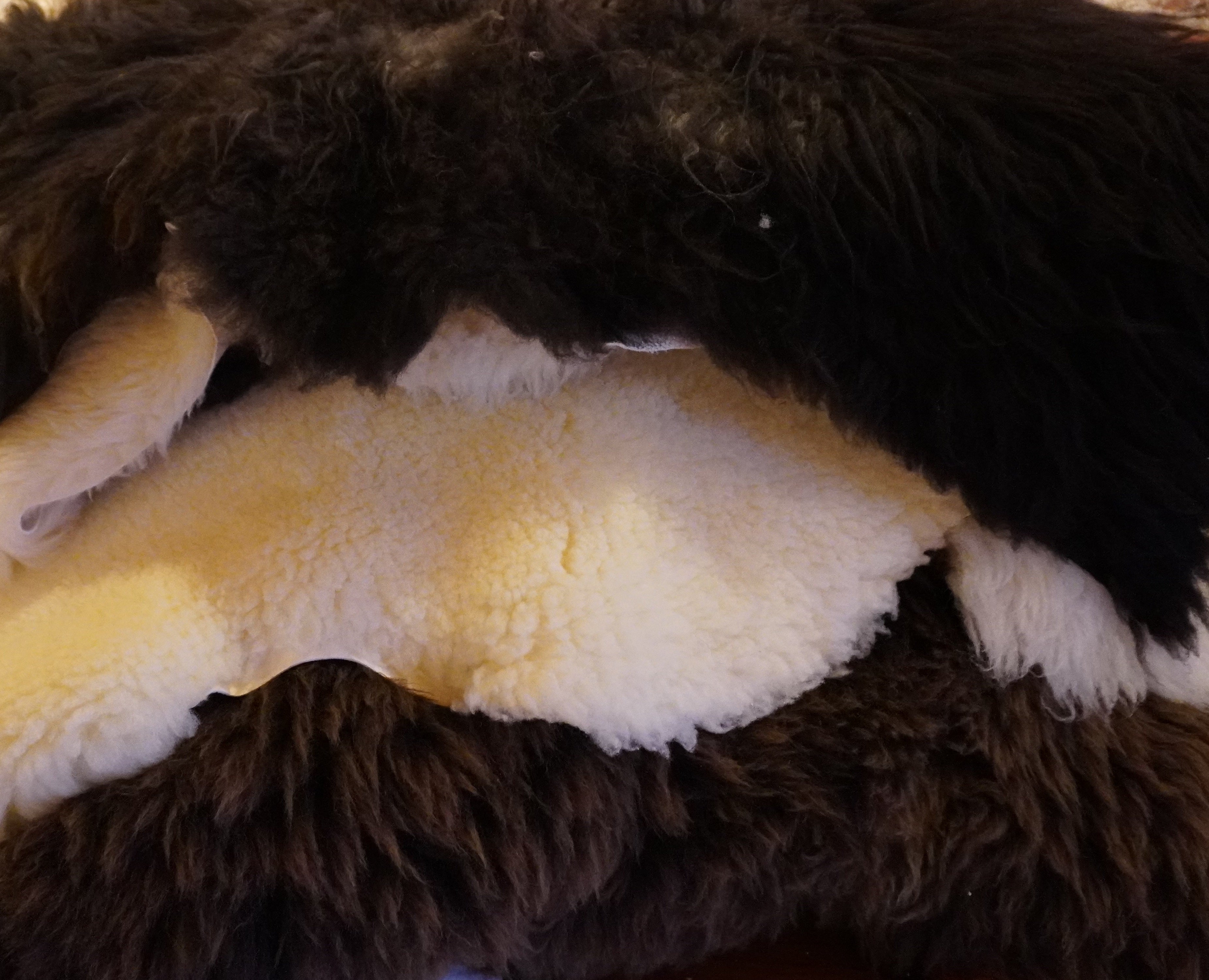 Dutch combed sheepskin